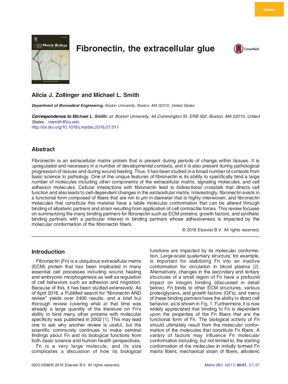 ReviewFibronectin, the extracellular glue