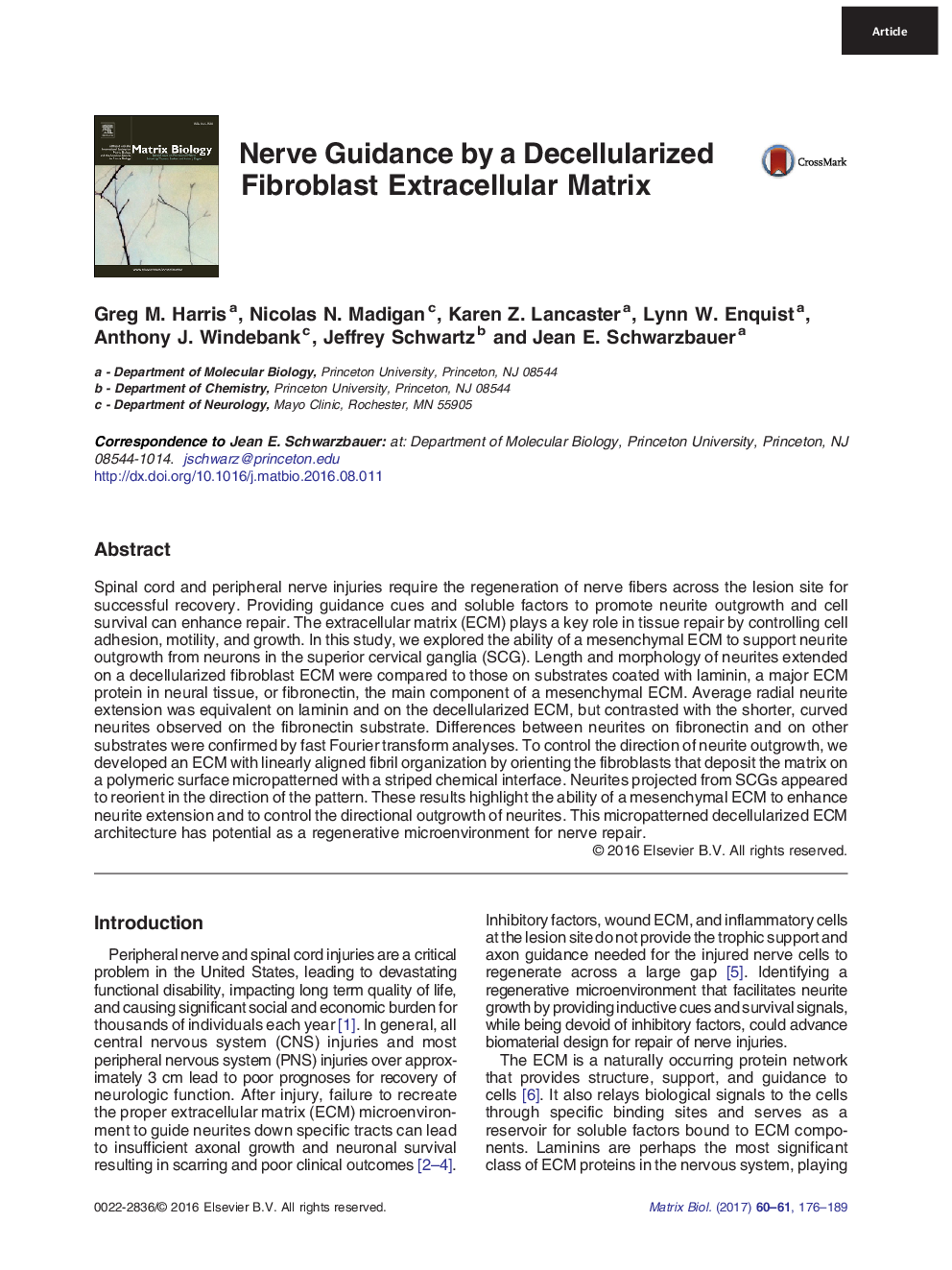 Nerve Guidance by a Decellularized Fibroblast Extracellular Matrix