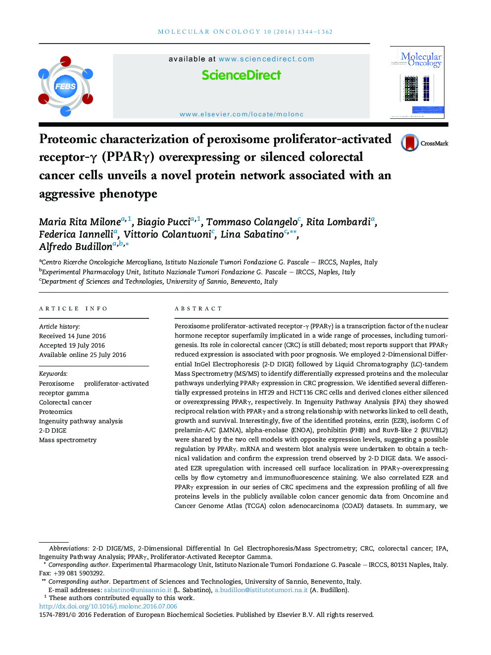Proteomic characterization of peroxisome proliferator-activated receptor-Î³ (PPARÎ³) overexpressing or silenced colorectal cancer cells unveils a novel protein network associated with an aggressive phenotype