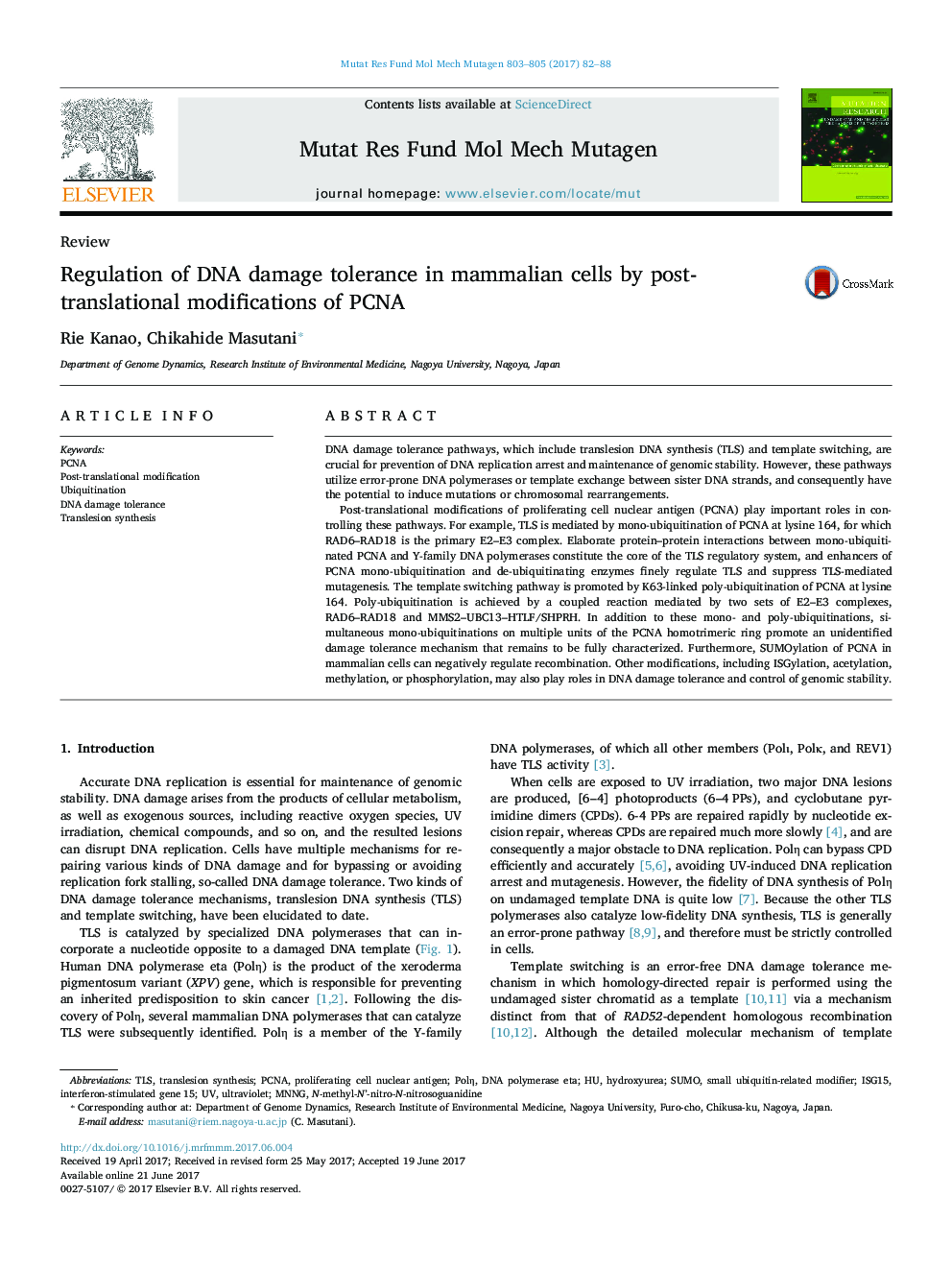 ReviewRegulation of DNA damage tolerance in mammalian cells by post-translational modifications of PCNA