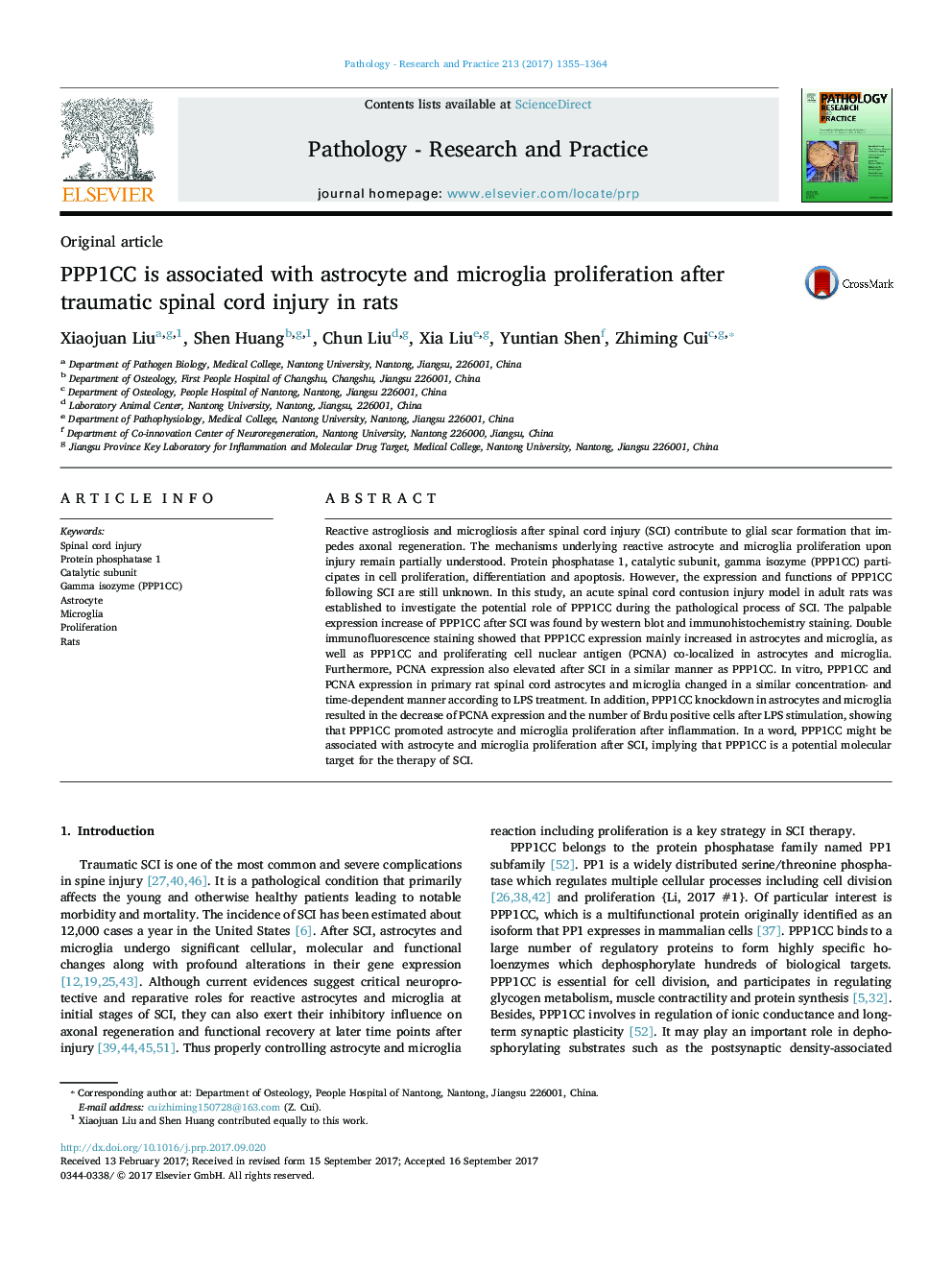 Original articlePPP1CC is associated with astrocyte and microglia proliferation after traumatic spinal cord injury in rats