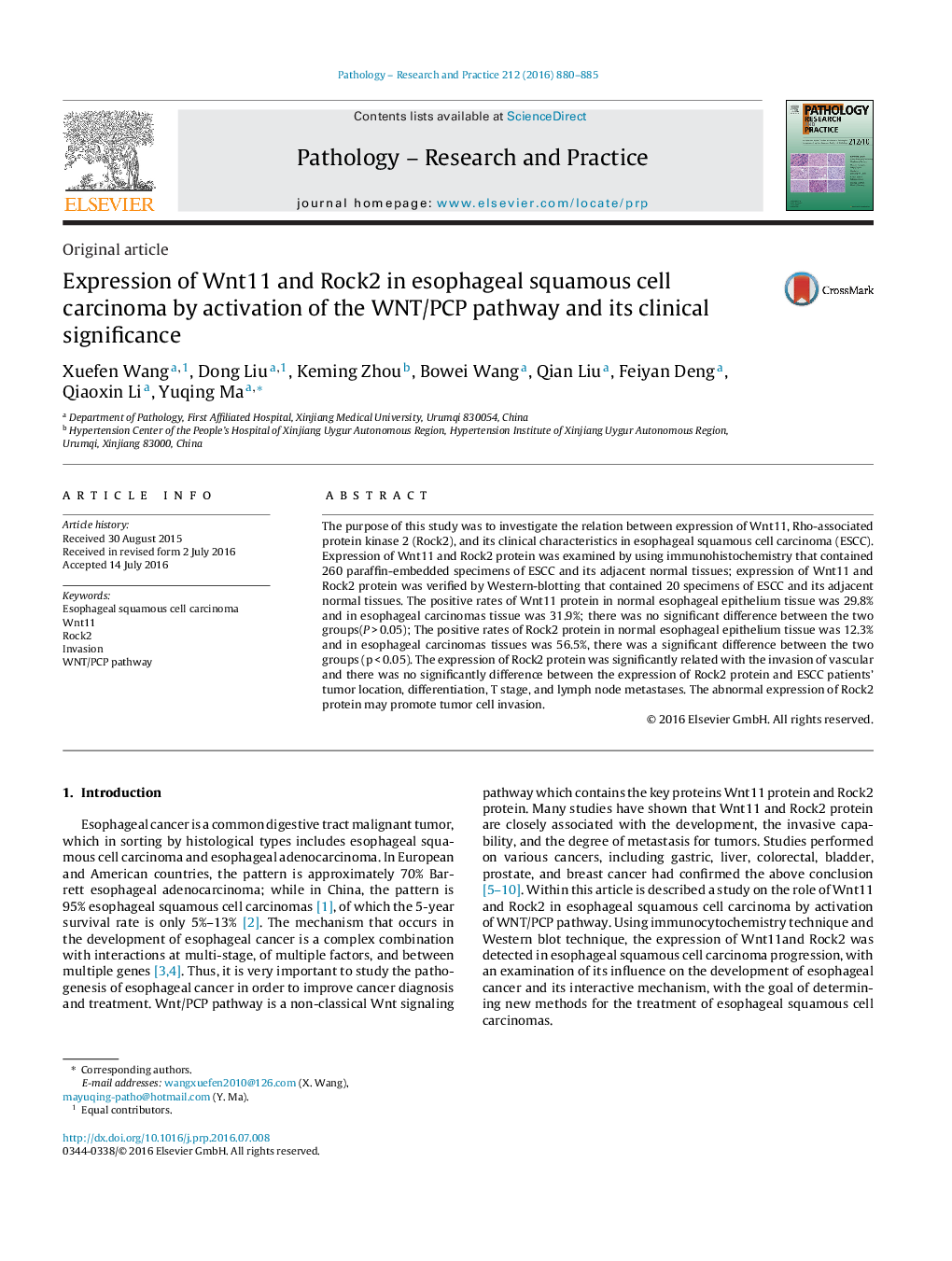 Original articleExpression of Wnt11 and Rock2 in esophageal squamous cell carcinoma by activation of the WNT/PCP pathway and its clinical significance