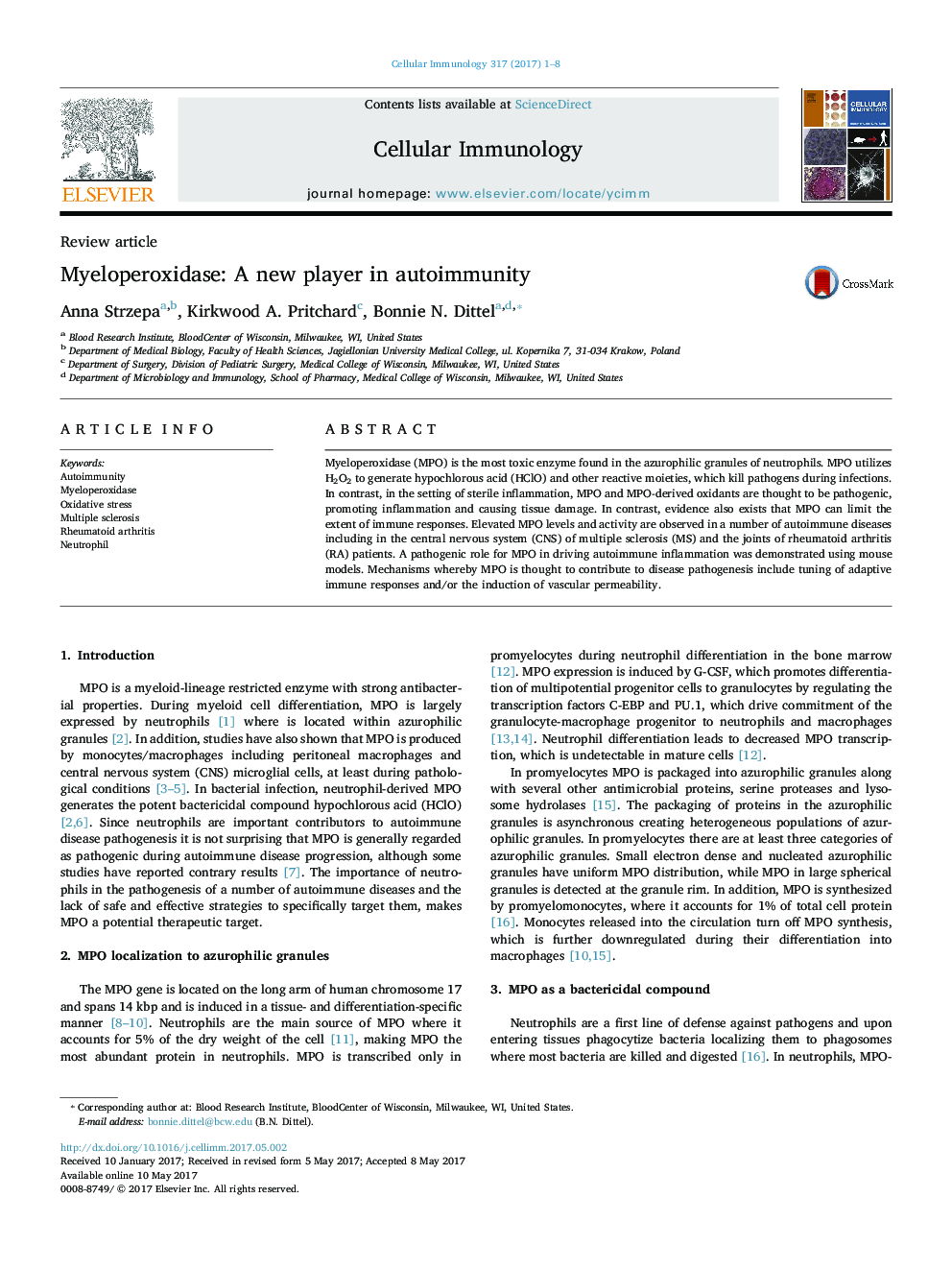 Review articleMyeloperoxidase: A new player in autoimmunity