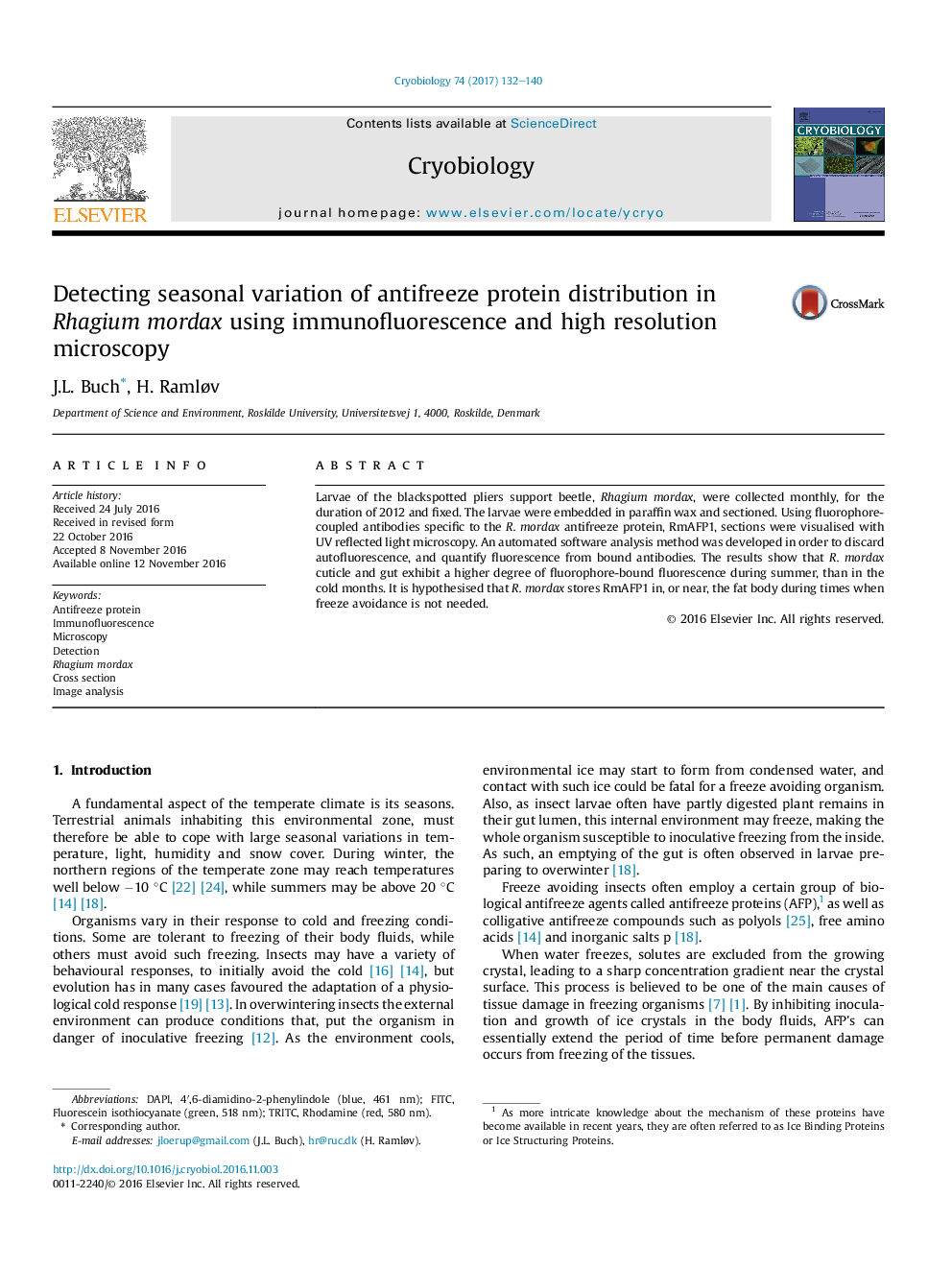 Detecting seasonal variation of antifreeze protein distribution in Rhagium mordax using immunofluorescence and high resolution microscopy