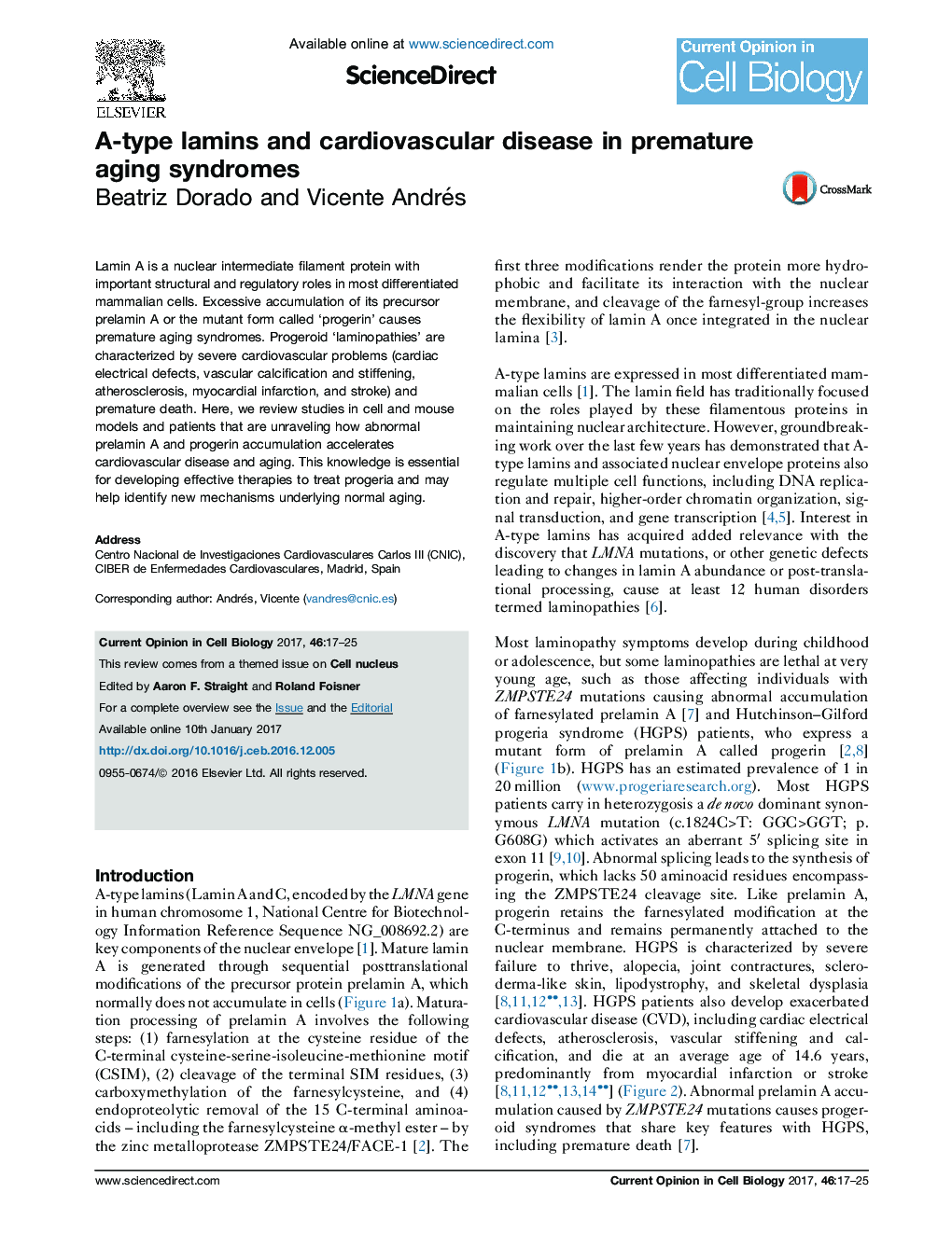 A-type lamins and cardiovascular disease in premature aging syndromes