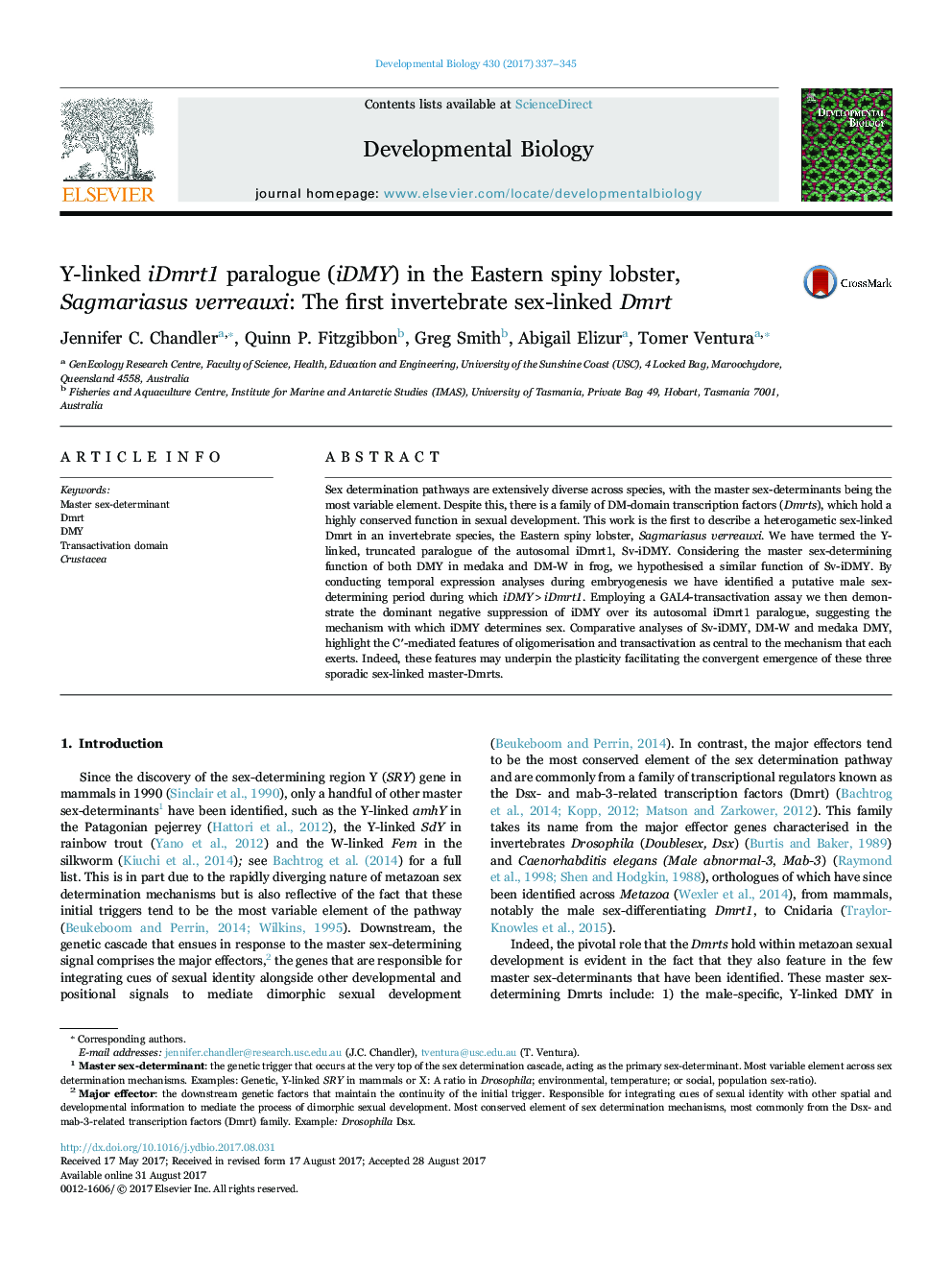 Y-linked iDmrt1 paralogue (iDMY) in the Eastern spiny lobster, Sagmariasus verreauxi: The first invertebrate sex-linked Dmrt