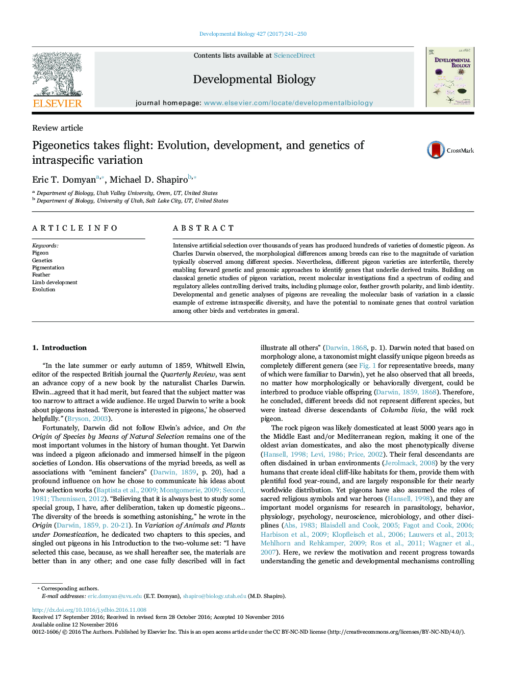 Pigeonetics takes flight: Evolution, development, and genetics of intraspecific variation