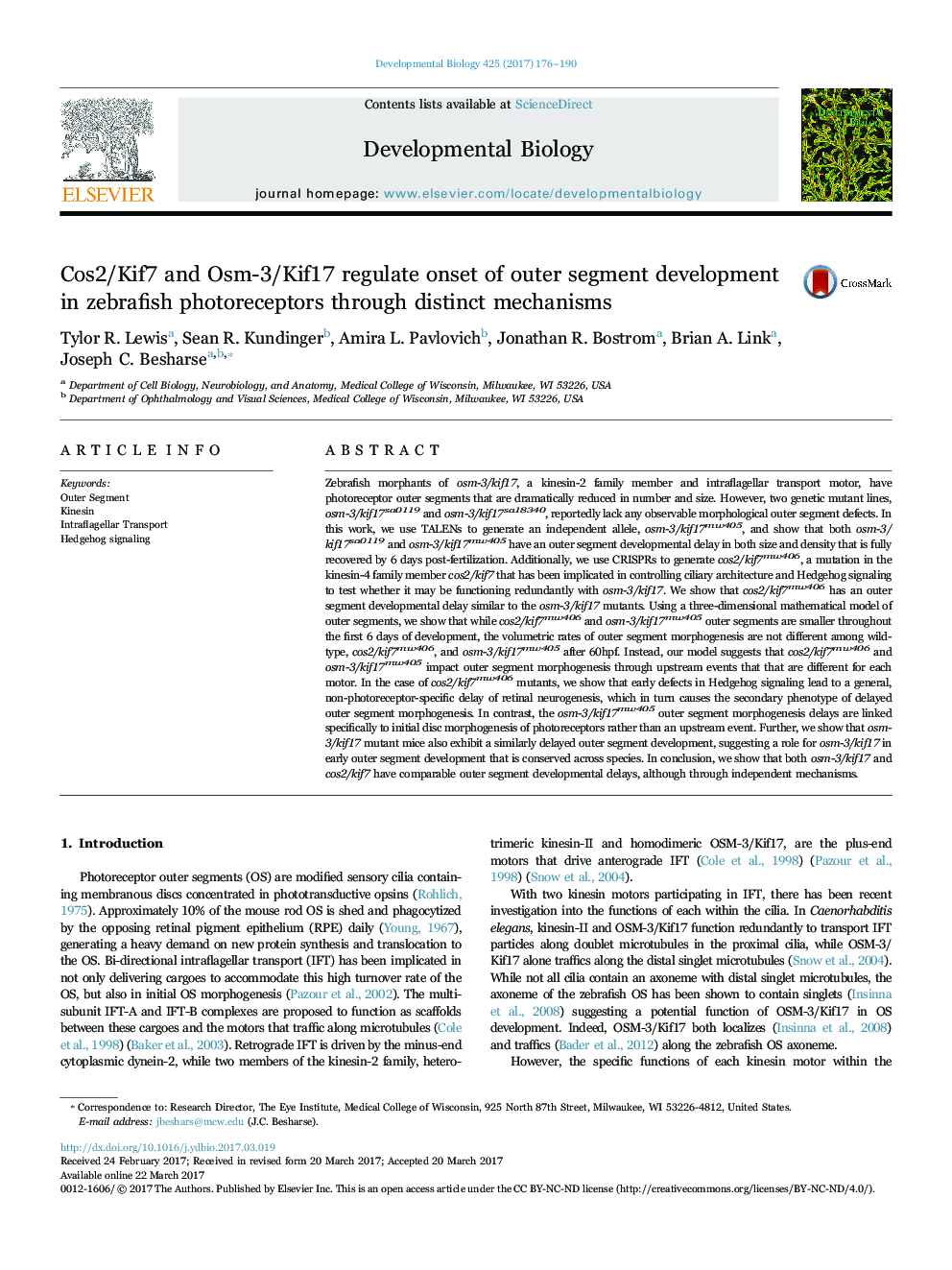 Cos2/Kif7 and Osm-3/Kif17 regulate onset of outer segment development in zebrafish photoreceptors through distinct mechanisms