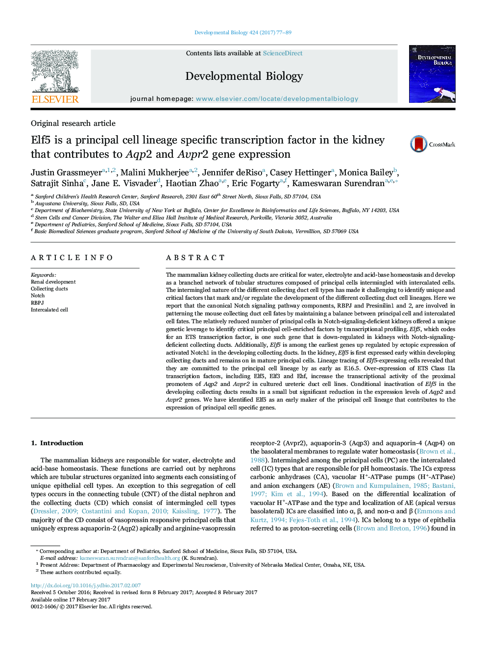 Original research articleElf5 is a principal cell lineage specific transcription factor in the kidney that contributes to Aqp2 and Avpr2 gene expression