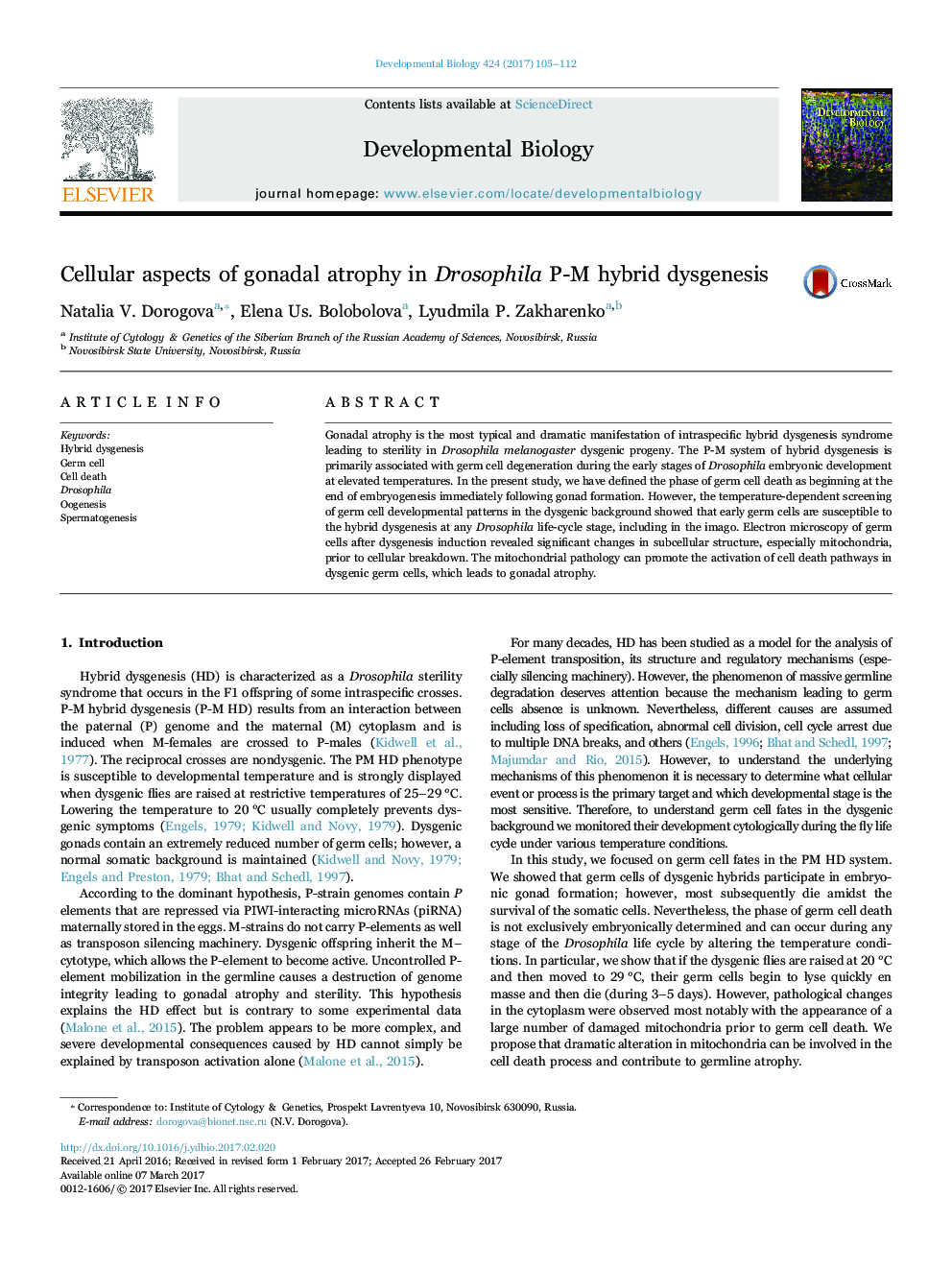 Cellular aspects of gonadal atrophy in Drosophila P-M hybrid dysgenesis