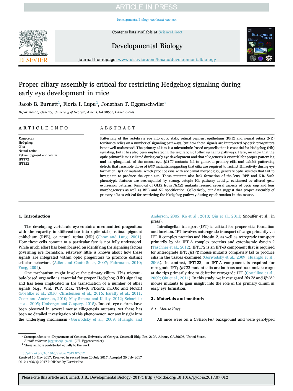 Proper ciliary assembly is critical for restricting Hedgehog signaling during early eye development in mice