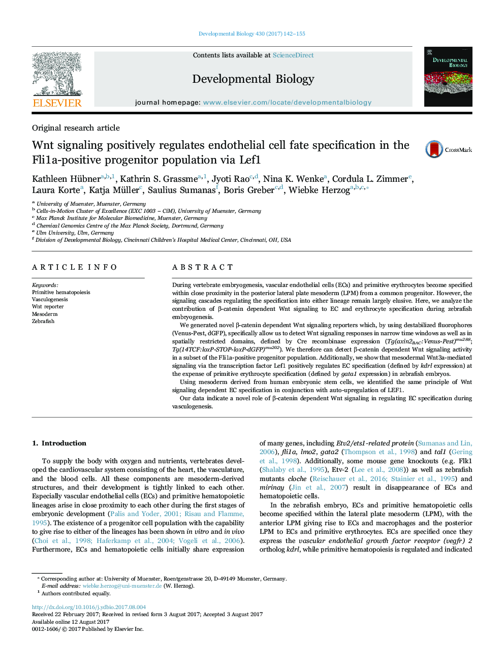 Original research articleWnt signaling positively regulates endothelial cell fate specification in the Fli1a-positive progenitor population via Lef1