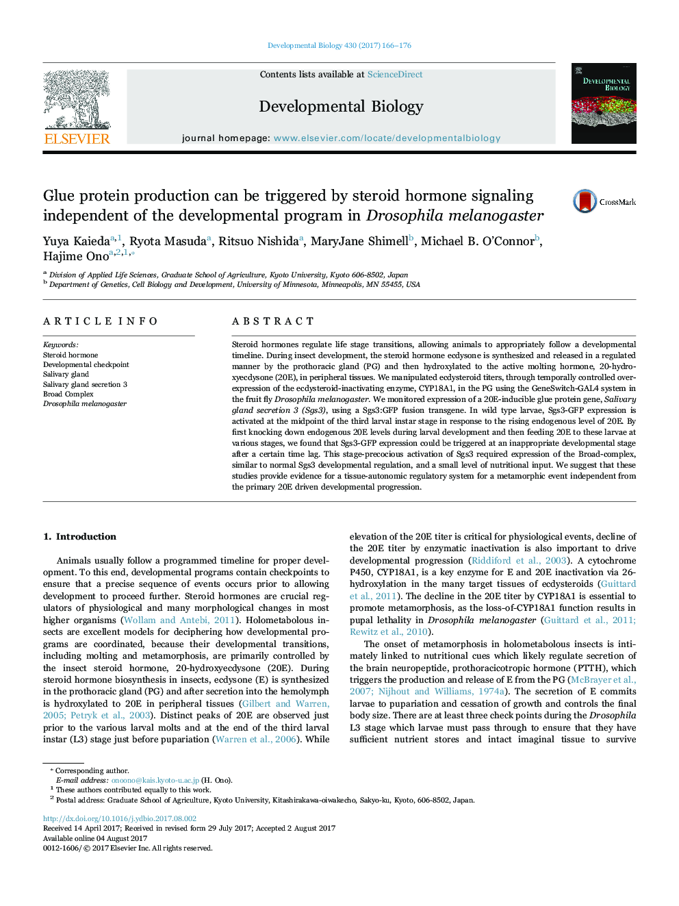 Glue protein production can be triggered by steroid hormone signaling independent of the developmental program in Drosophila melanogaster