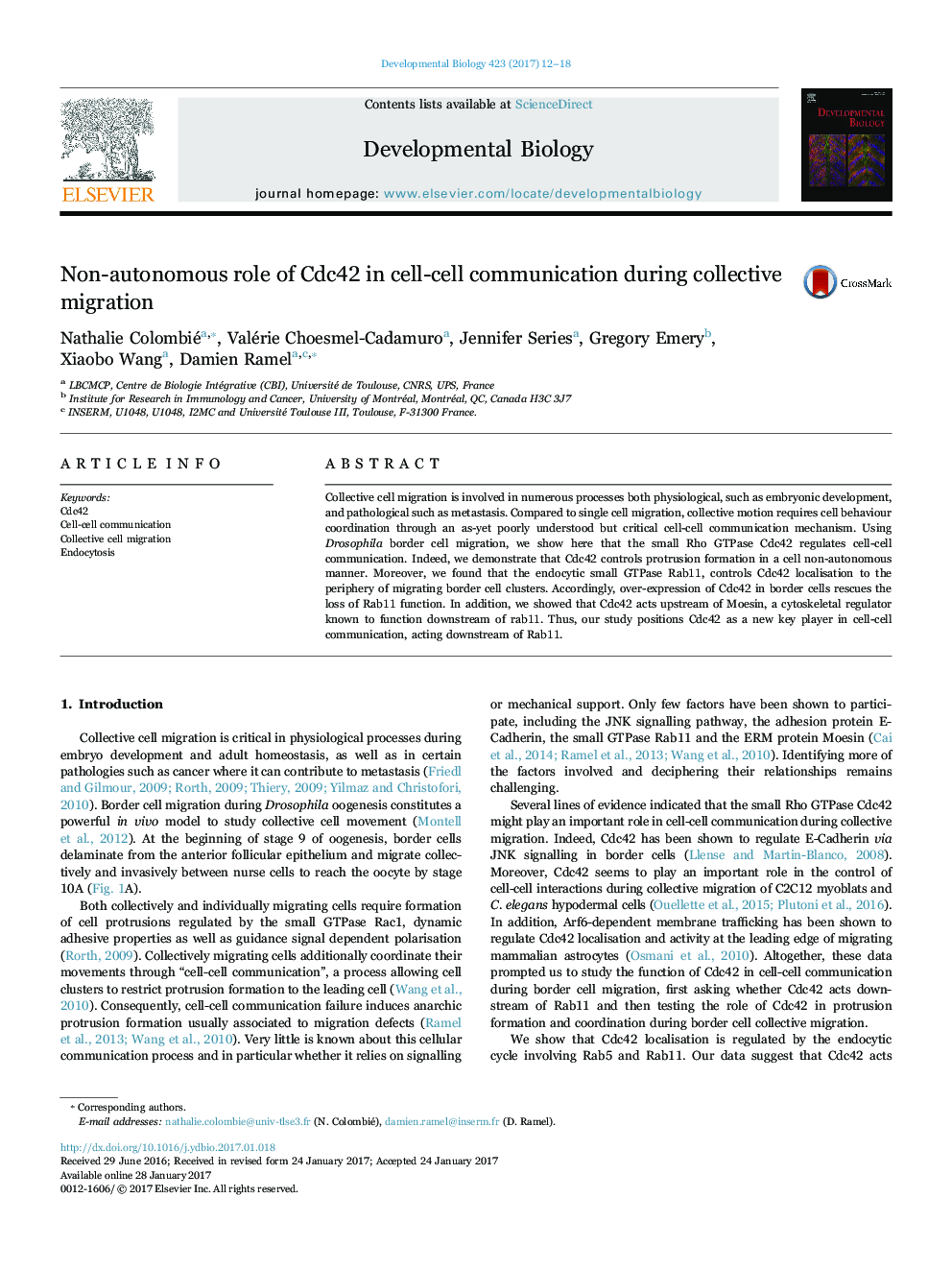 Non-autonomous role of Cdc42 in cell-cell communication during collective migration