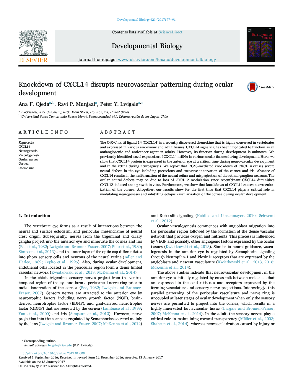 Knockdown of CXCL14 disrupts neurovascular patterning during ocular development