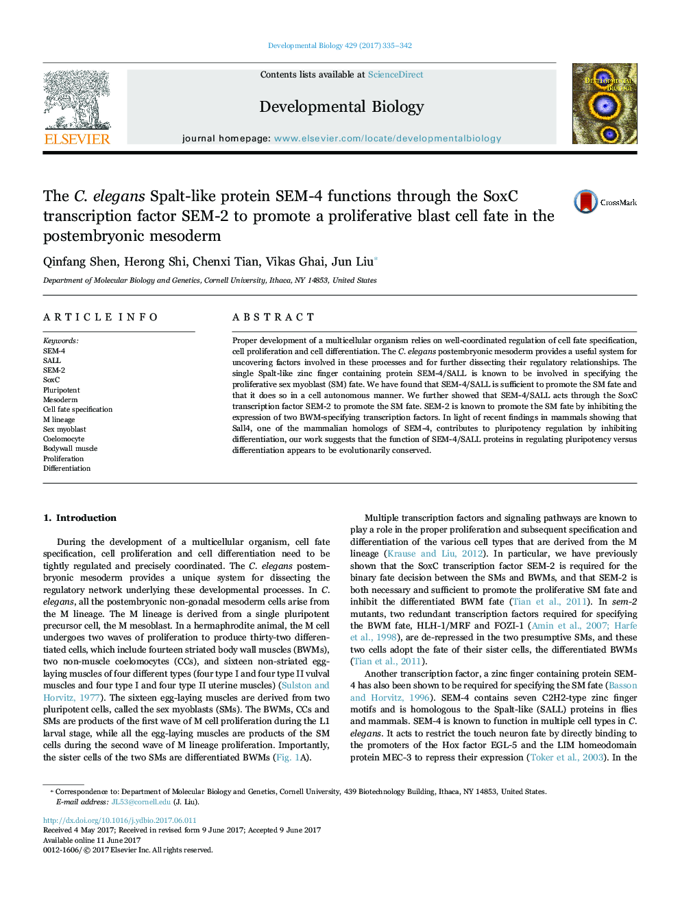 The C. elegans Spalt-like protein SEM-4 functions through the SoxC transcription factor SEM-2 to promote a proliferative blast cell fate in the postembryonic mesoderm