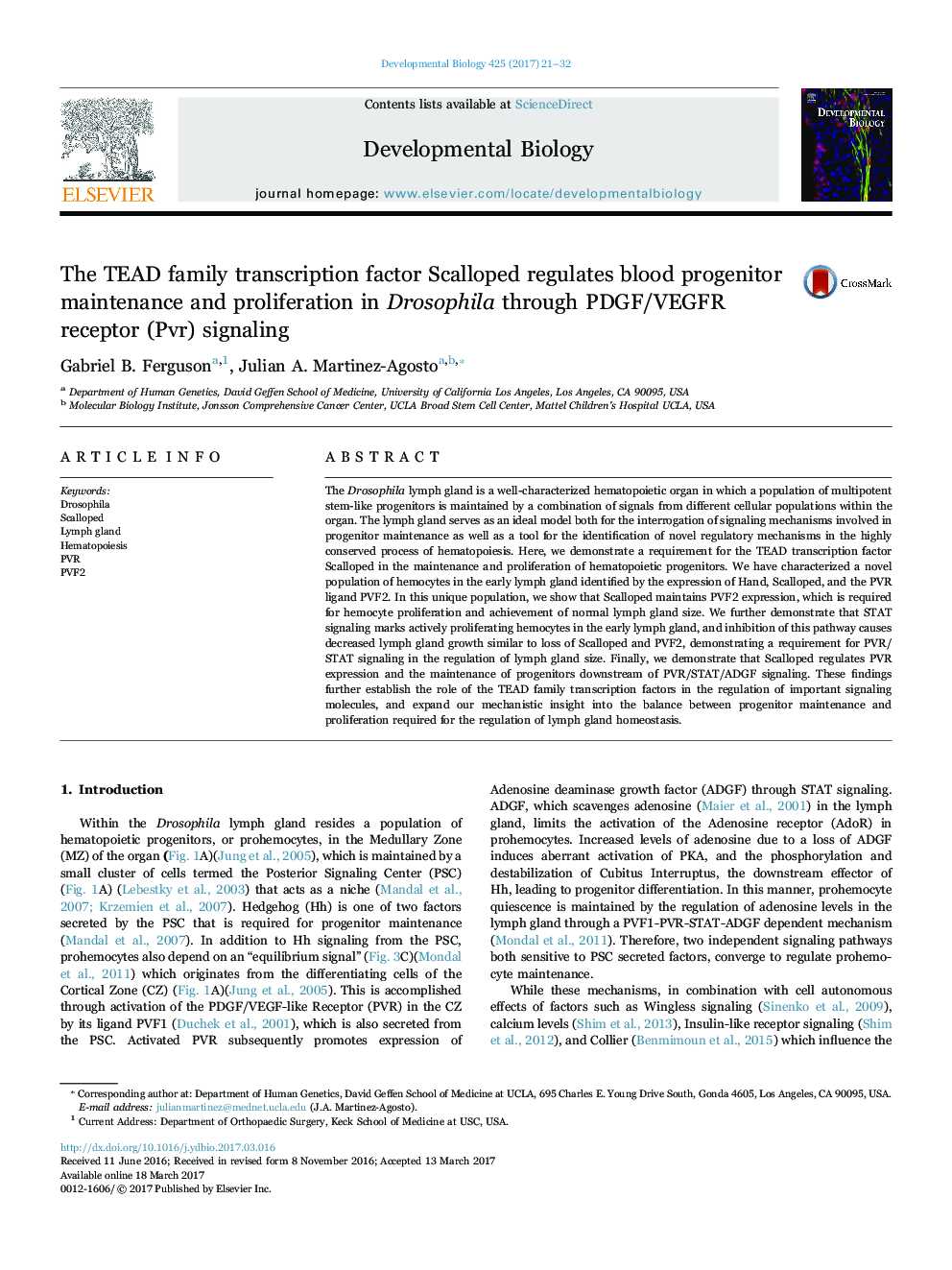 The TEAD family transcription factor Scalloped regulates blood progenitor maintenance and proliferation in Drosophila through PDGF/VEGFR receptor (Pvr) signaling