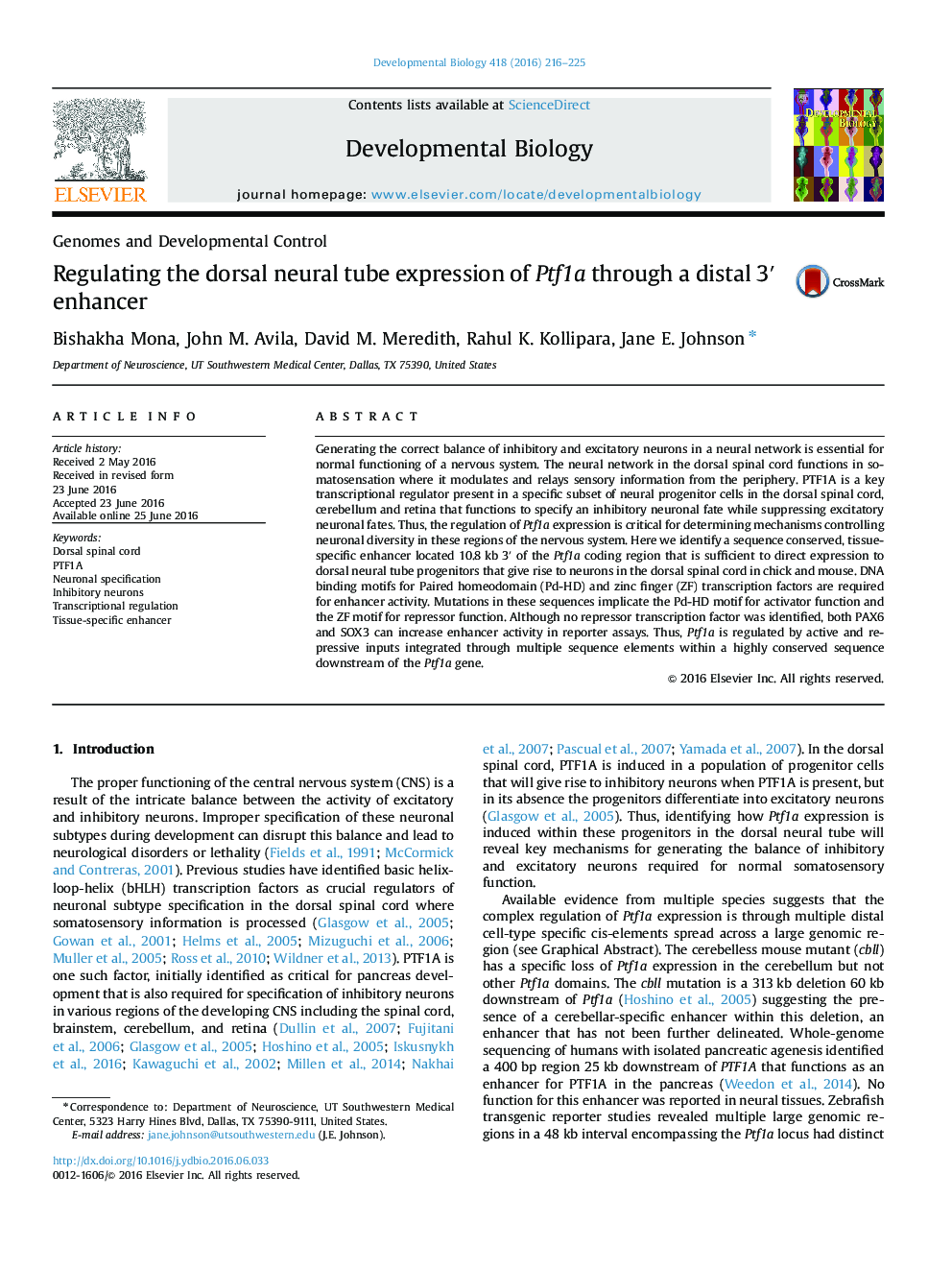 Regulating the dorsal neural tube expression of Ptf1a through a distal 3â² enhancer