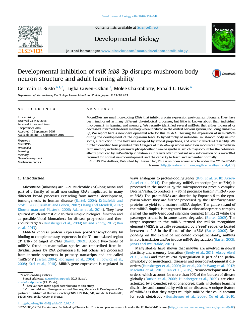 Developmental inhibition of miR-iab8-3p disrupts mushroom body neuron structure and adult learning ability