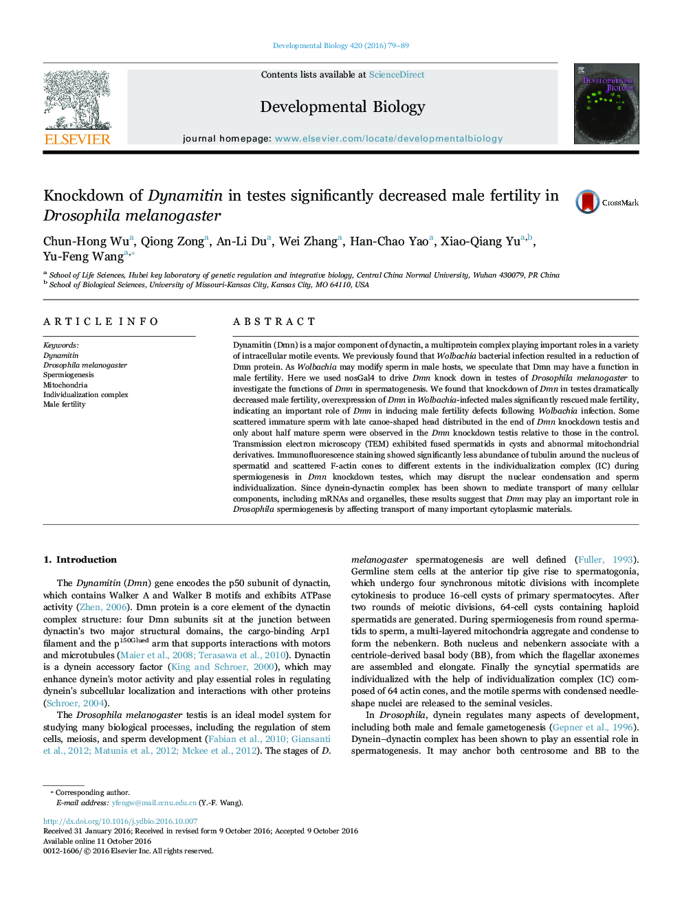 Knockdown of Dynamitin in testes significantly decreased male fertility in Drosophila melanogaster