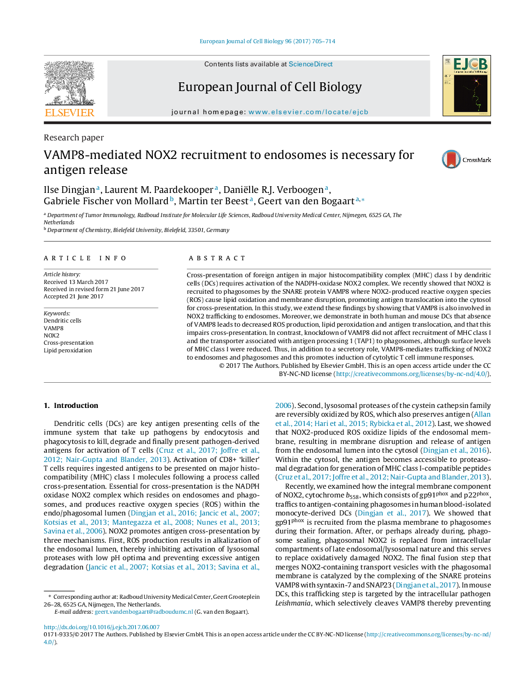 VAMP8-mediated NOX2 recruitment to endosomes is necessary for antigen release