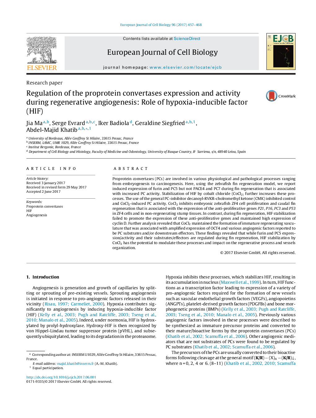 Research paperRegulation of the proprotein convertases expression and activity during regenerative angiogenesis: Role of hypoxia-inducible factor (HIF)