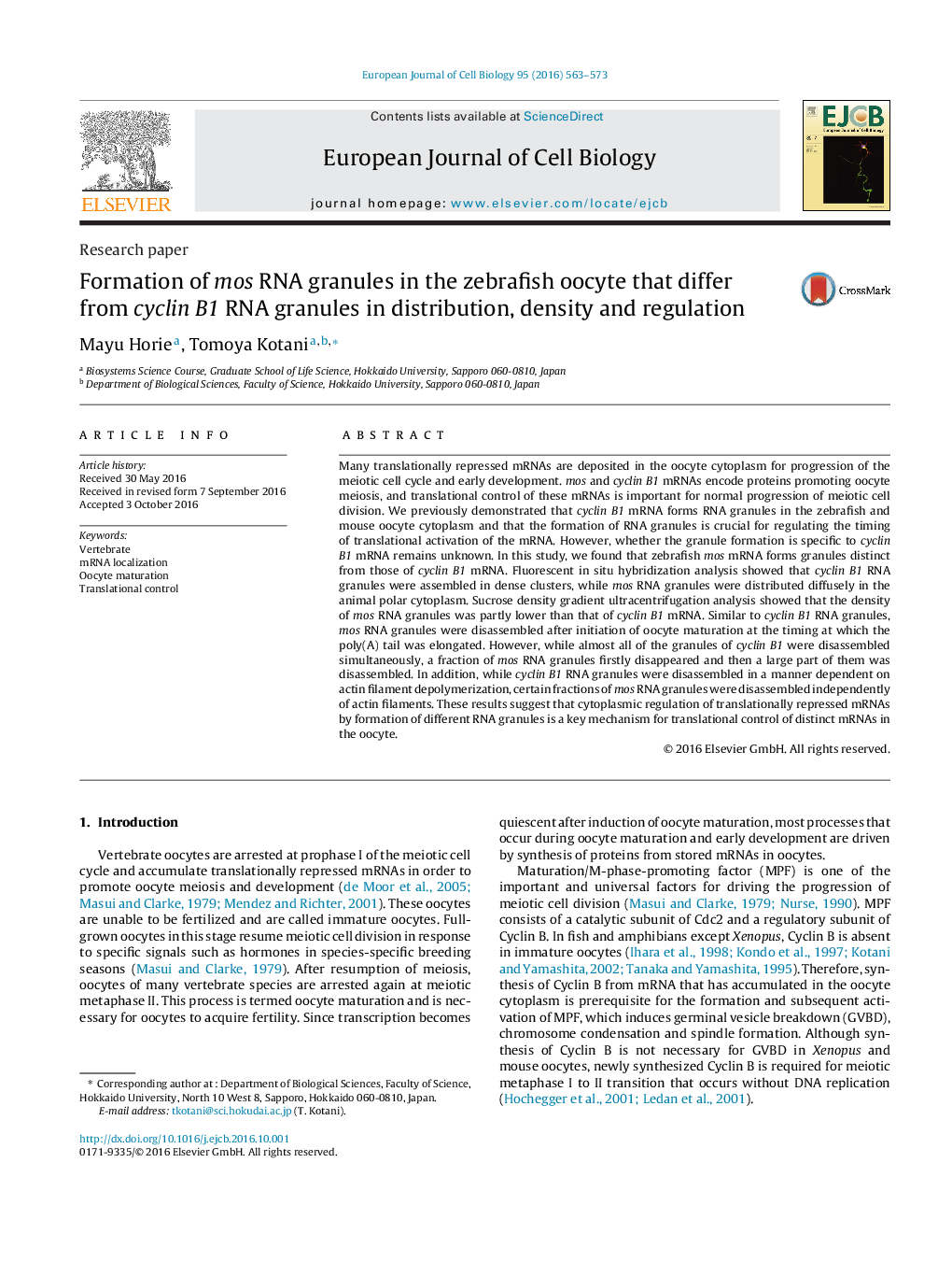 Research paperFormation of mos RNA granules in the zebrafish oocyte that differ from cyclin B1 RNA granules in distribution, density and regulation