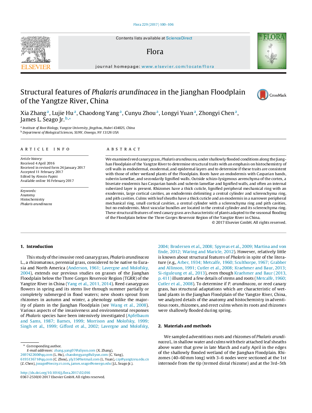 Structural features of Phalaris arundinacea in the Jianghan Floodplain of the Yangtze River, China