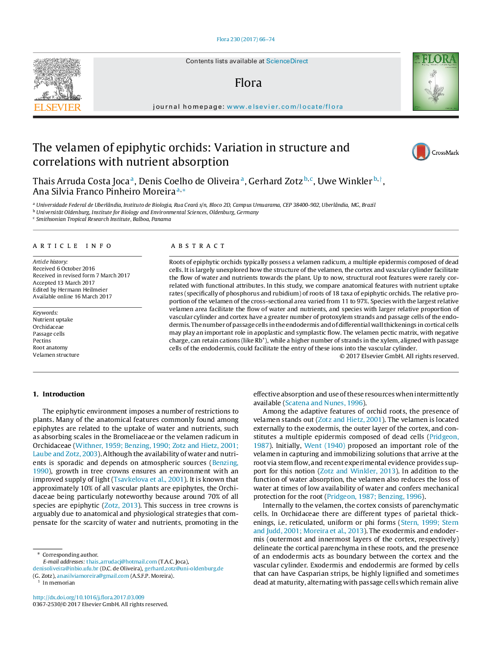 The velamen of epiphytic orchids: Variation in structure and correlations with nutrient absorption