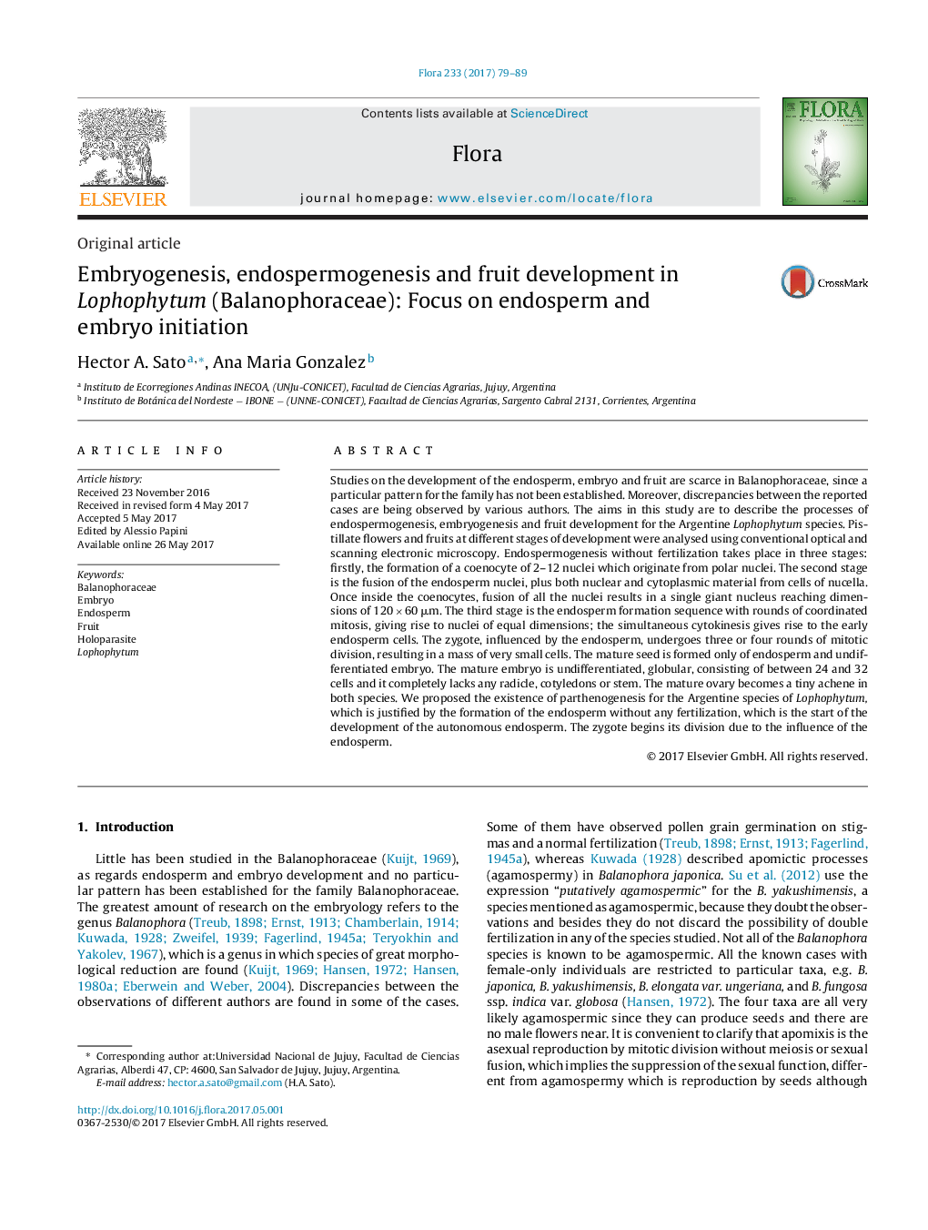 Embryogenesis, endospermogenesis and fruit development in Lophophytum (Balanophoraceae): Focus on endosperm and embryo initiation