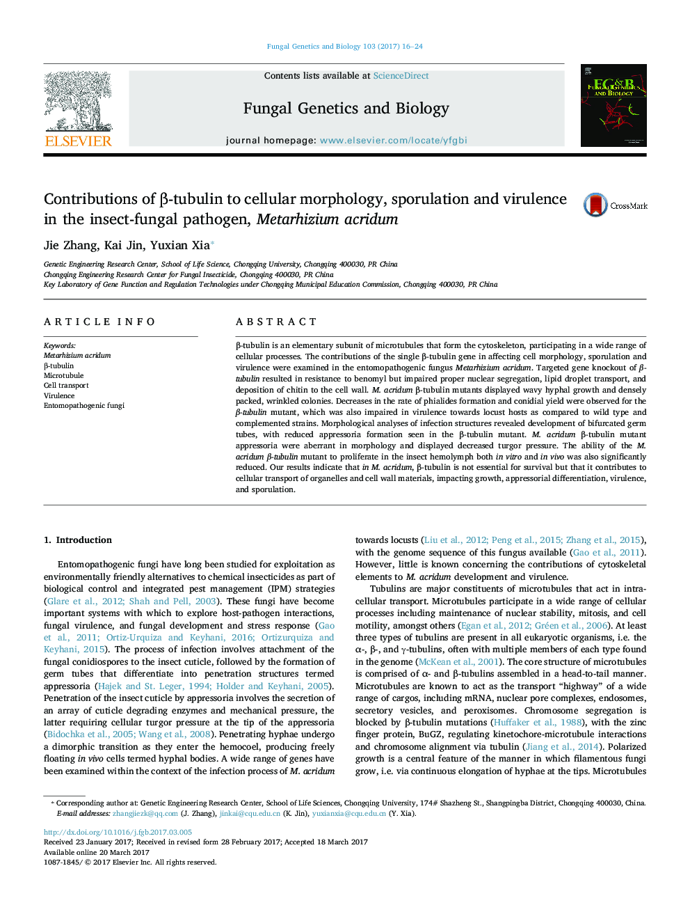 Contributions of β-tubulin to cellular morphology, sporulation and virulence in the insect-fungal pathogen, Metarhizium acridum