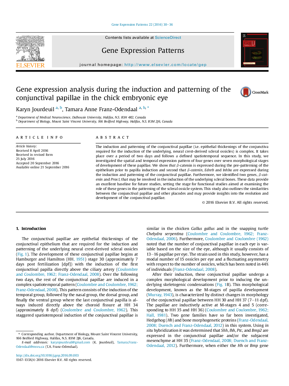 Gene expression analysis during the induction and patterning of the conjunctival papillae in the chick embryonic eye