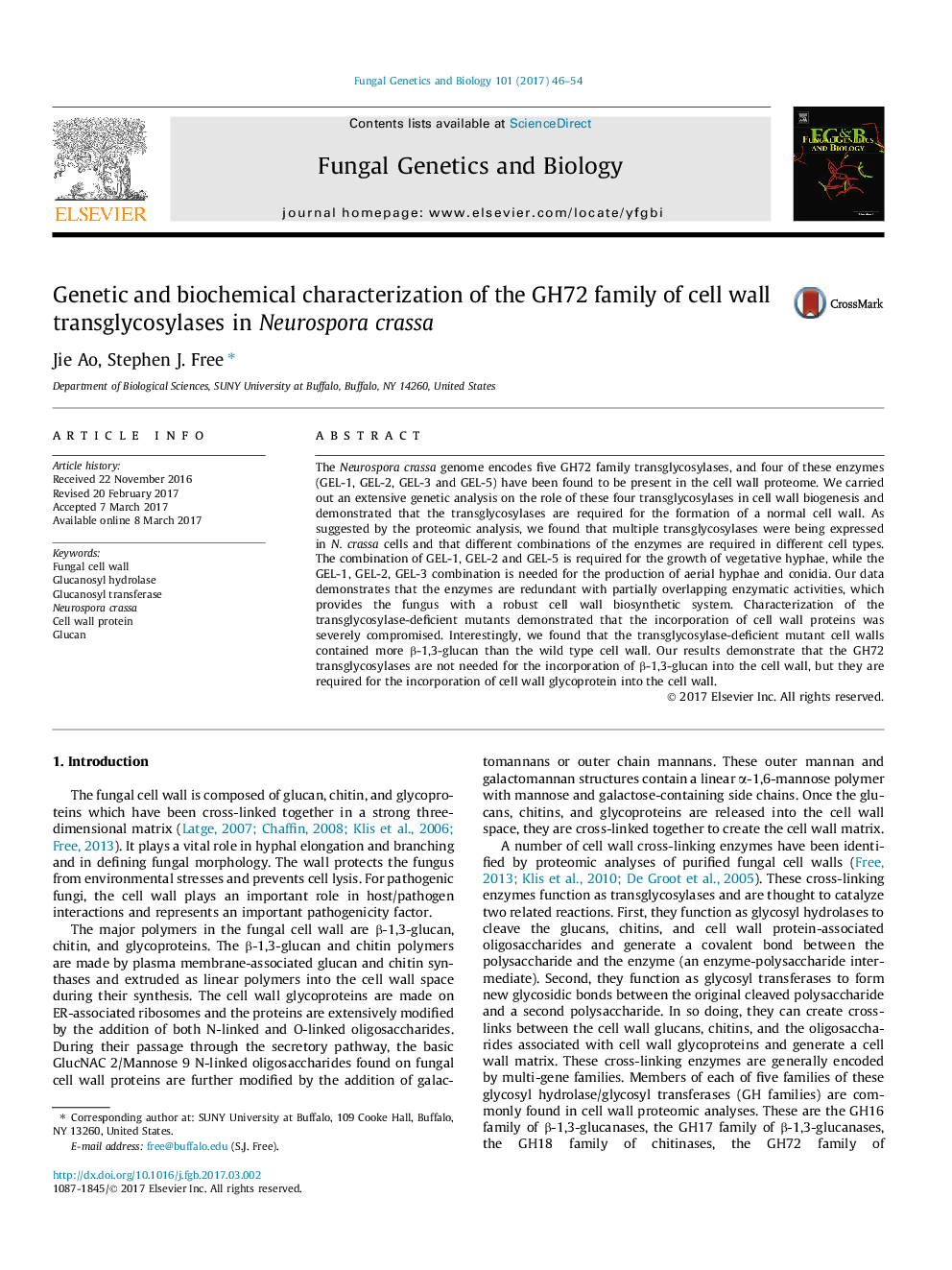 Genetic and biochemical characterization of the GH72 family of cell wall transglycosylases in Neurospora crassa