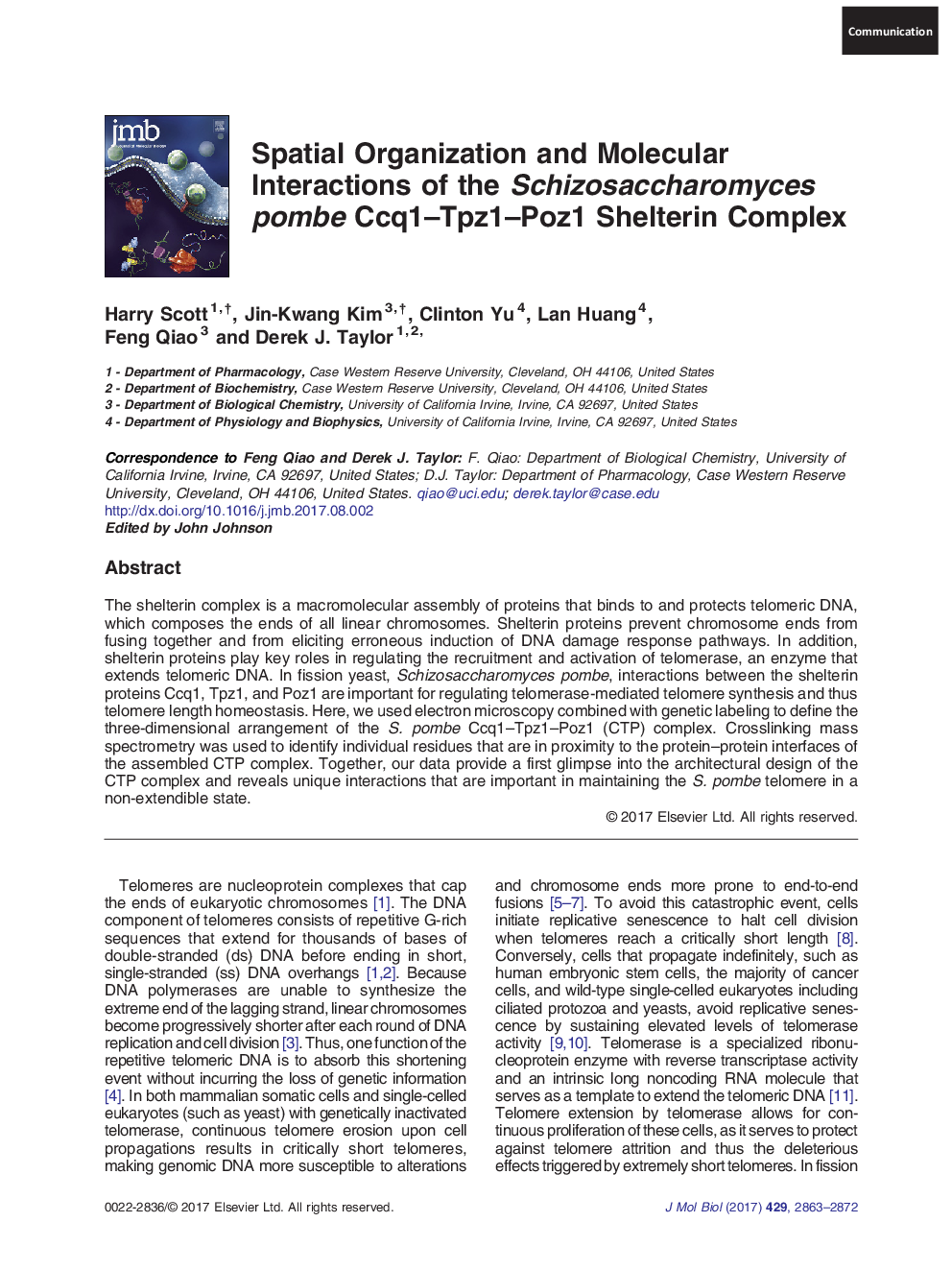 CommunicationSpatial Organization and Molecular Interactions of the Schizosaccharomyces pombe Ccq1-Tpz1-Poz1 Shelterin Complex