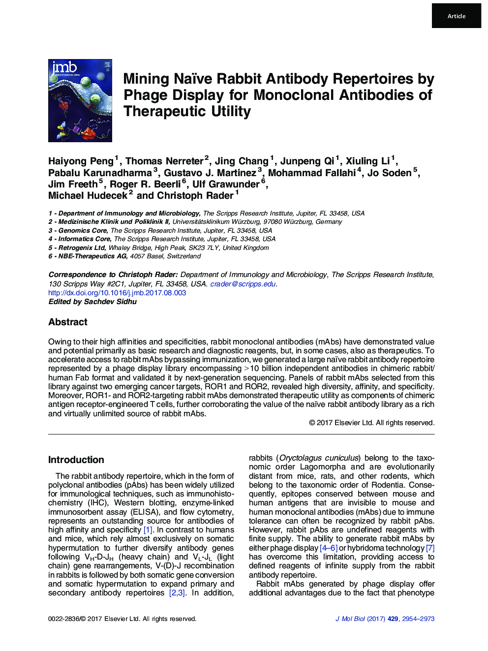 Mining Naïve Rabbit Antibody Repertoires by Phage Display for Monoclonal Antibodies of Therapeutic Utility