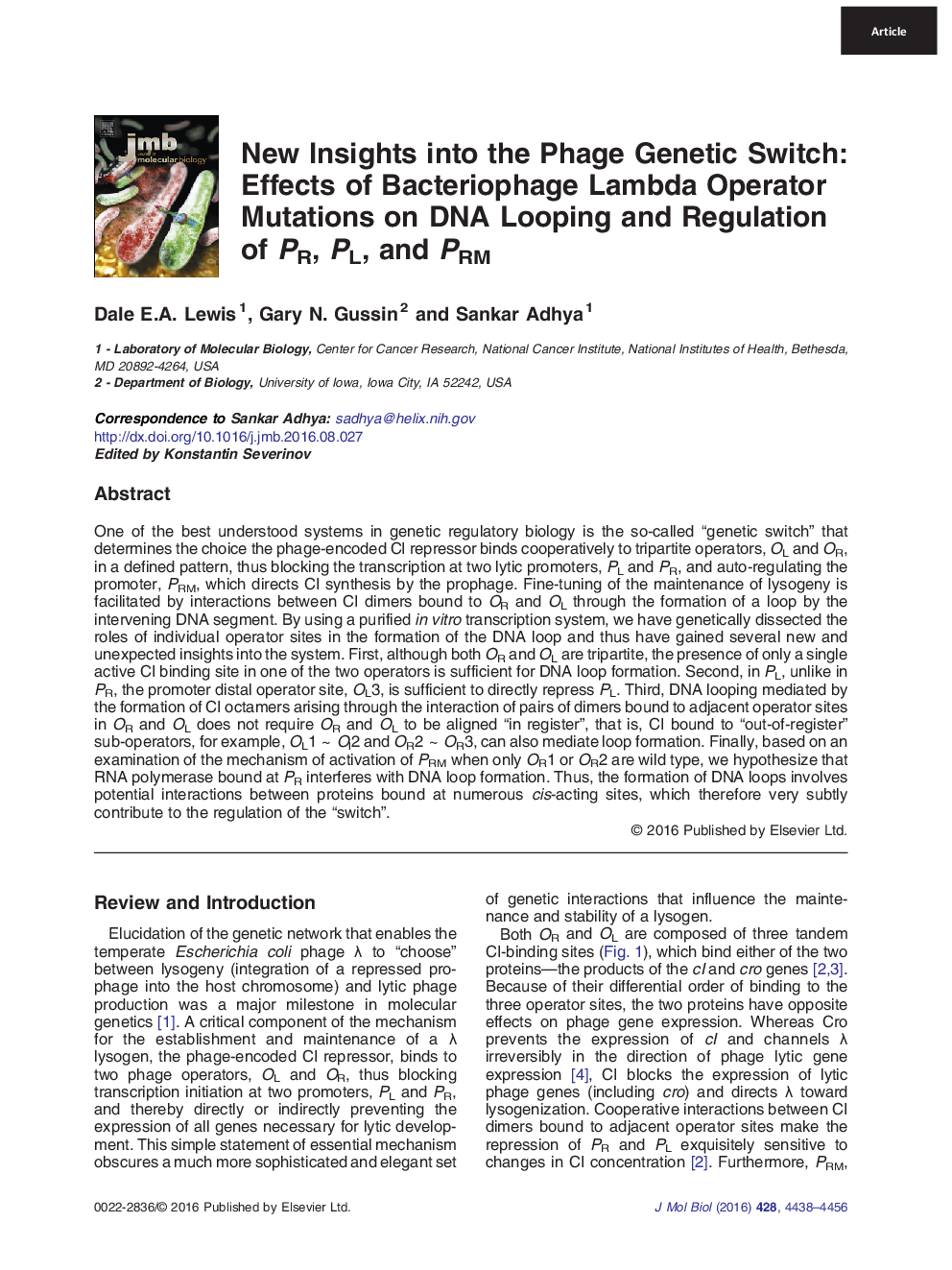 New Insights into the Phage Genetic Switch: Effects of Bacteriophage Lambda Operator Mutations on DNA Looping and Regulation of PR, PL, and PRM