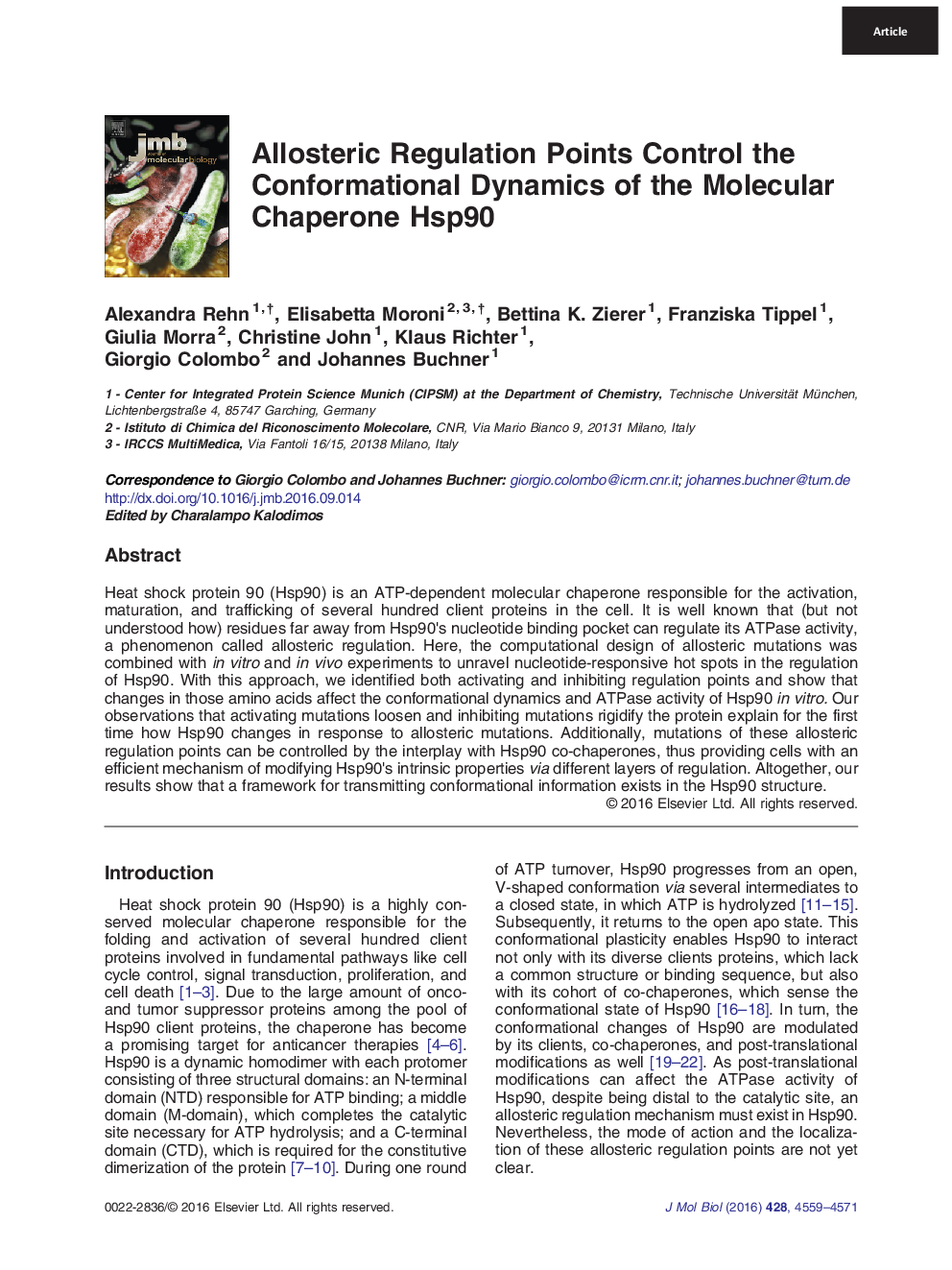 Allosteric Regulation Points Control the Conformational Dynamics of the Molecular Chaperone Hsp90