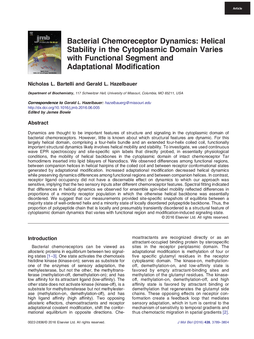 Bacterial Chemoreceptor Dynamics: Helical Stability in the Cytoplasmic Domain Varies with Functional Segment and Adaptational Modification