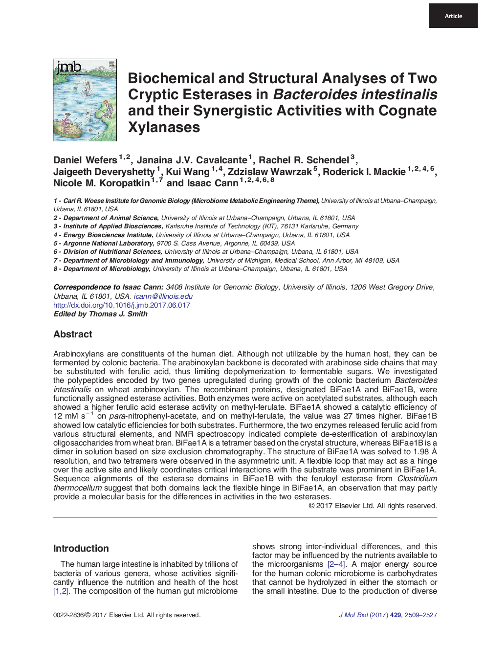 Biochemical and Structural Analyses of Two Cryptic Esterases in Bacteroides intestinalis and their Synergistic Activities with Cognate Xylanases