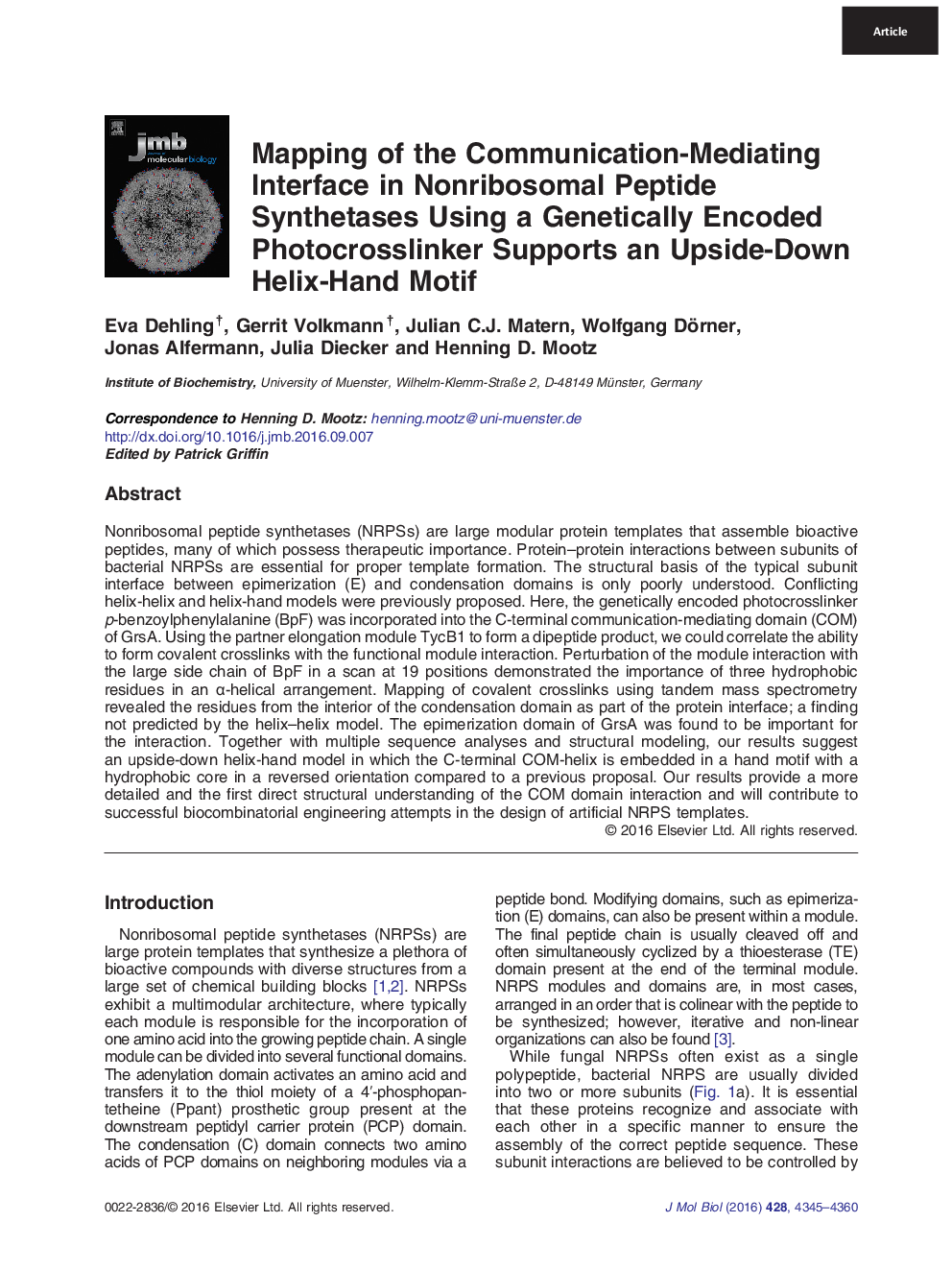 Mapping of the Communication-Mediating Interface in Nonribosomal Peptide Synthetases Using a Genetically Encoded Photocrosslinker Supports an Upside-Down Helix-Hand Motif