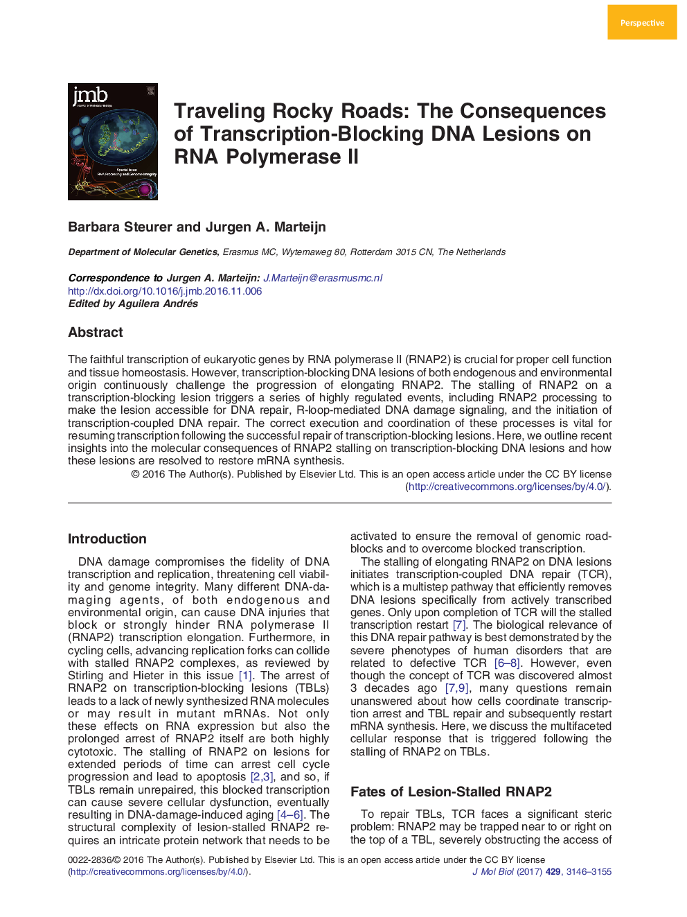 Traveling Rocky Roads: The Consequences of Transcription-Blocking DNA Lesions on RNA Polymerase II