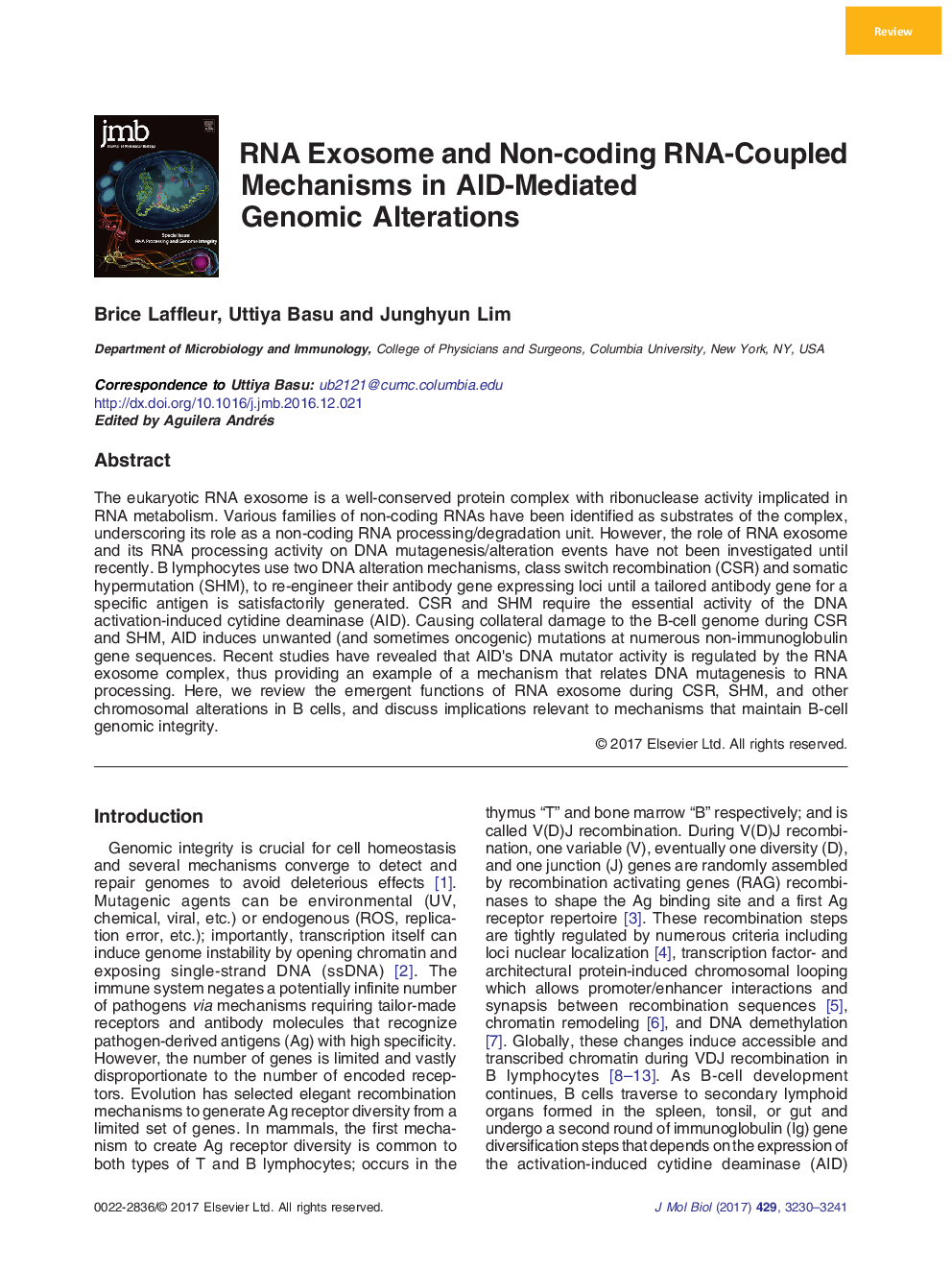 ReviewRNA Exosome and Non-coding RNA-Coupled Mechanisms in AID-Mediated Genomic Alterations