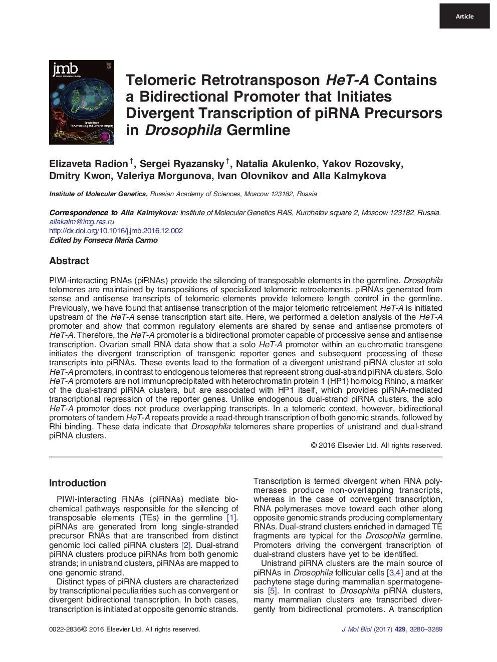 Telomeric Retrotransposon HeT-A Contains a Bidirectional Promoter that Initiates Divergent Transcription of piRNA Precursors in Drosophila Germline