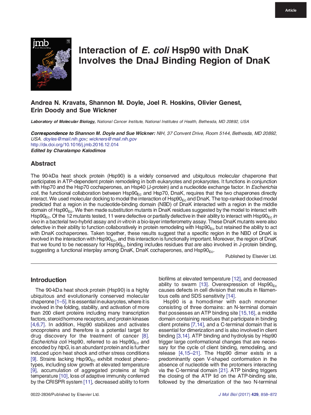 Interaction of E. coli Hsp90 with DnaK Involves the DnaJ Binding Region of DnaK