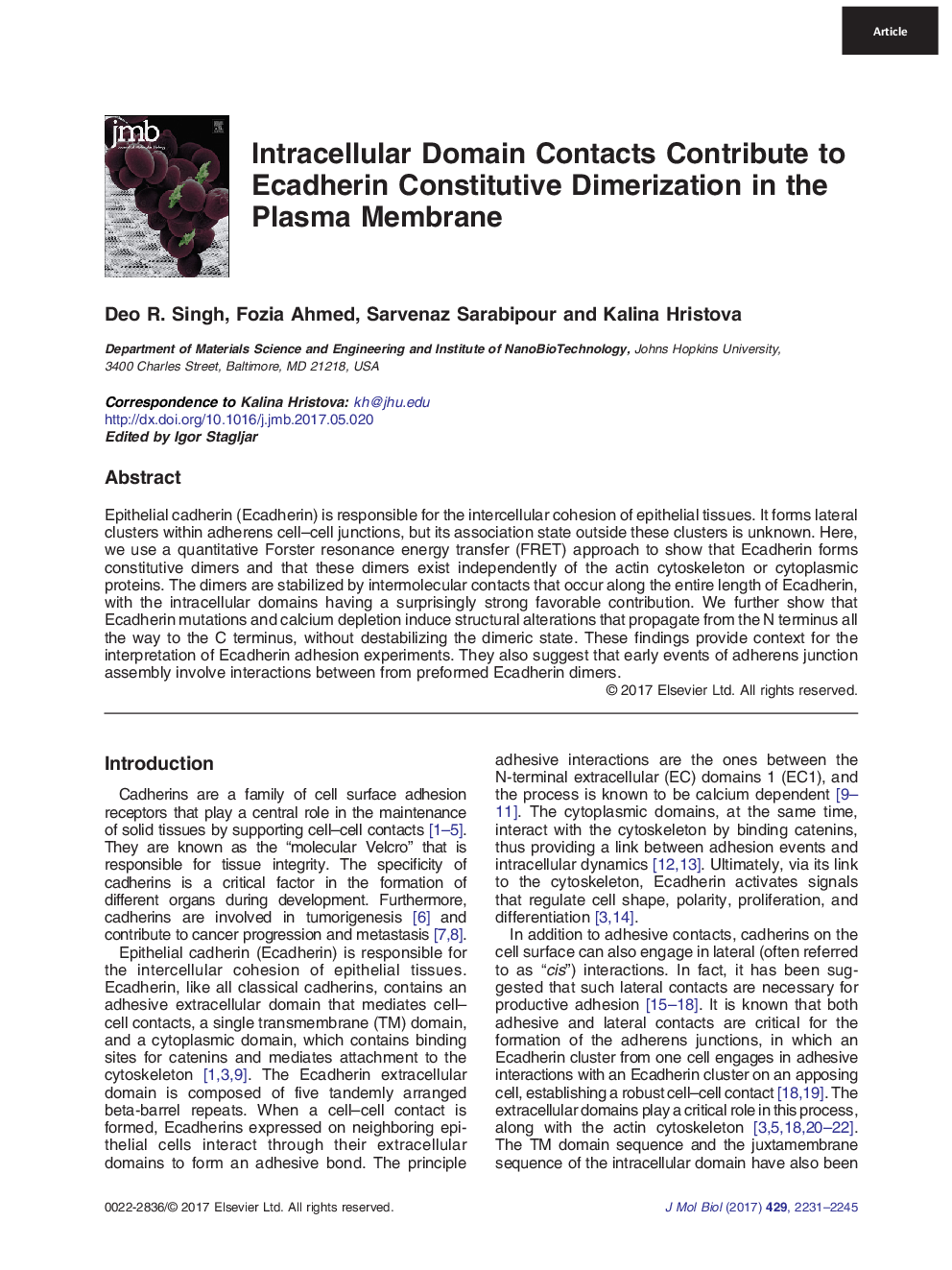 Intracellular Domain Contacts Contribute to Ecadherin Constitutive Dimerization in the Plasma Membrane