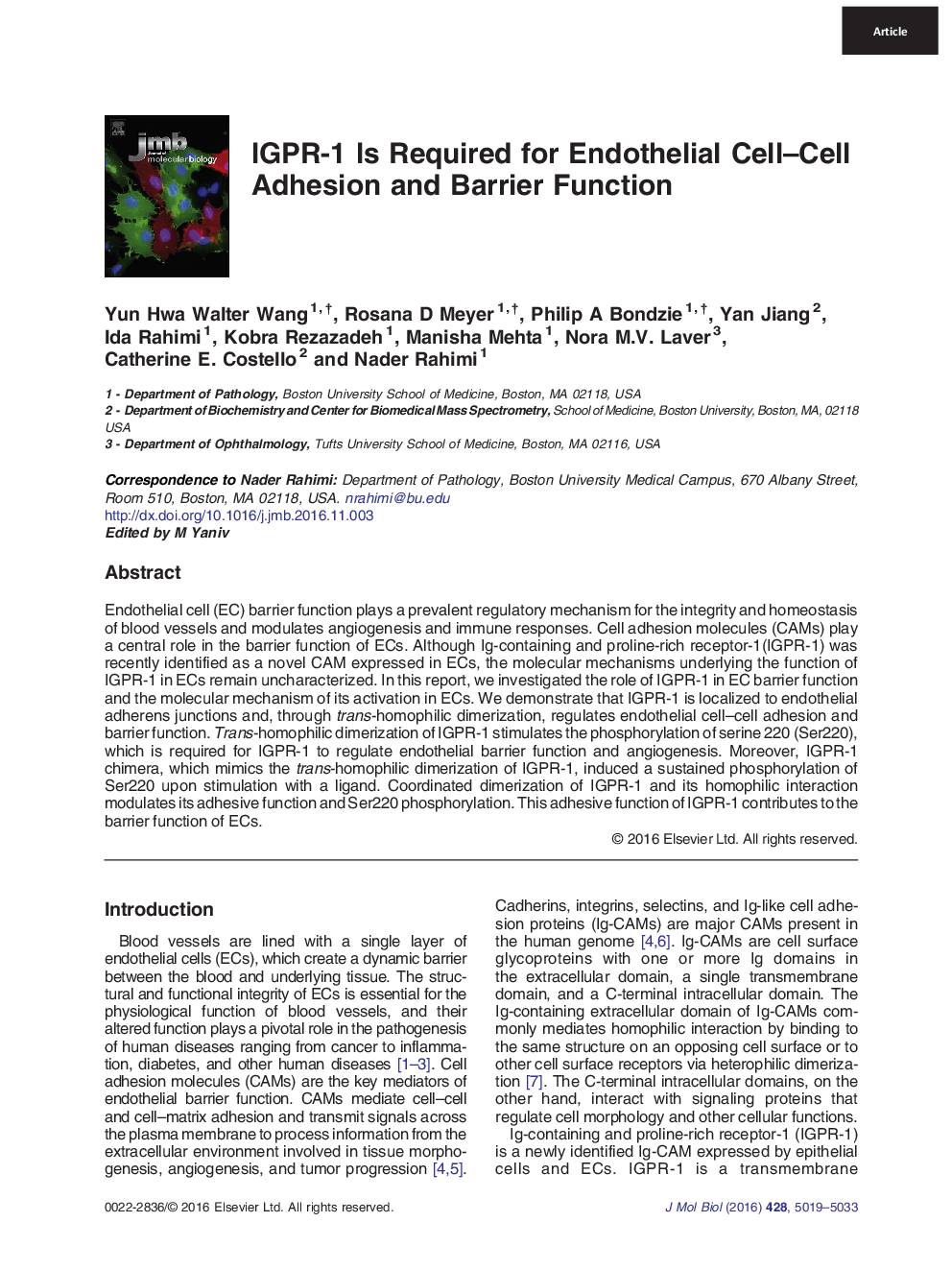 IGPR-1 Is Required for Endothelial Cell-Cell Adhesion and Barrier Function