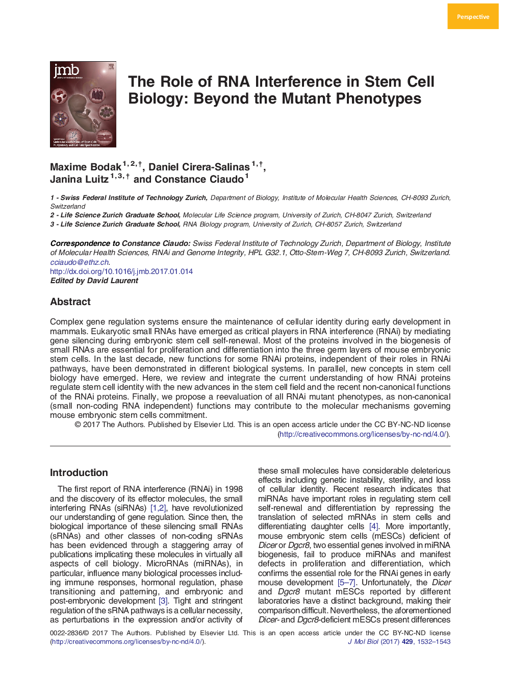 The Role of RNA Interference in Stem Cell Biology: Beyond the Mutant Phenotypes