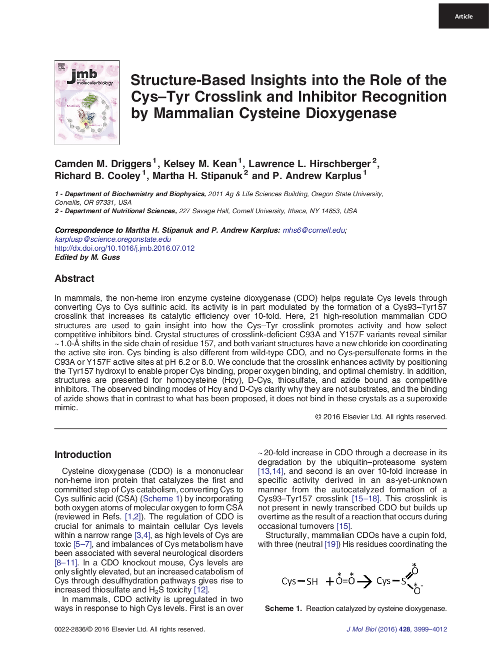 Structure-Based Insights into the Role of the Cys-Tyr Crosslink and Inhibitor Recognition by Mammalian Cysteine Dioxygenase