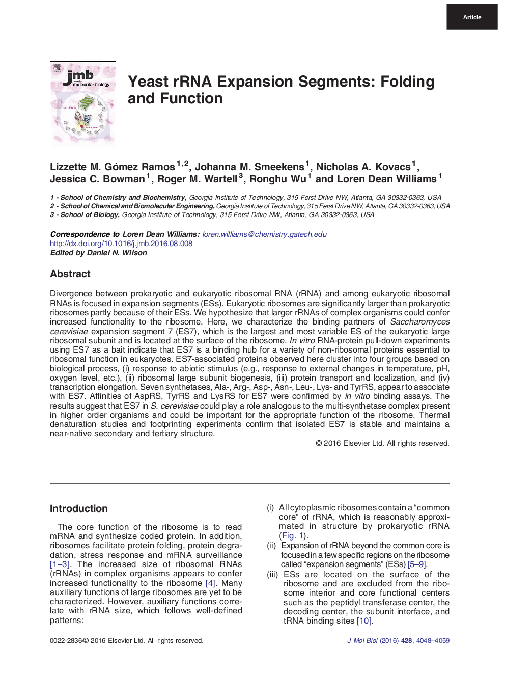 Yeast rRNA Expansion Segments: Folding and Function