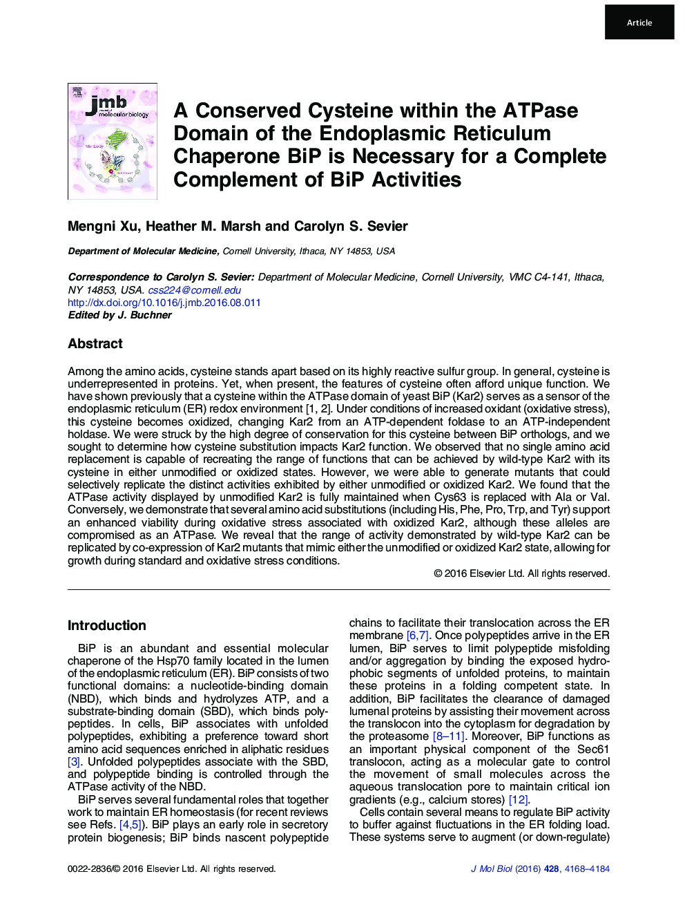 A Conserved Cysteine within the ATPase Domain of the Endoplasmic Reticulum Chaperone BiP is Necessary for a Complete Complement of BiP Activities